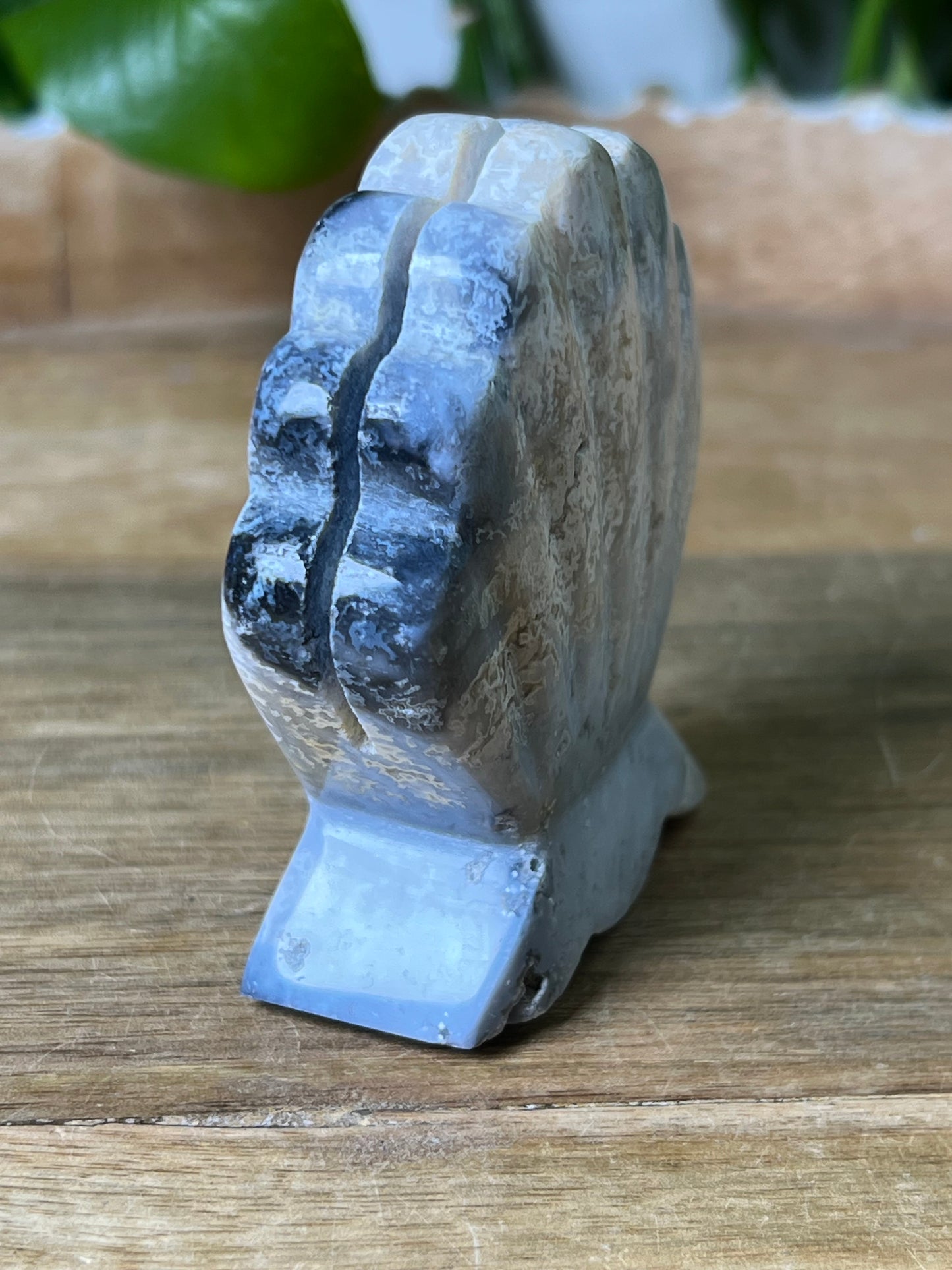 Blue Plume Agate Shell