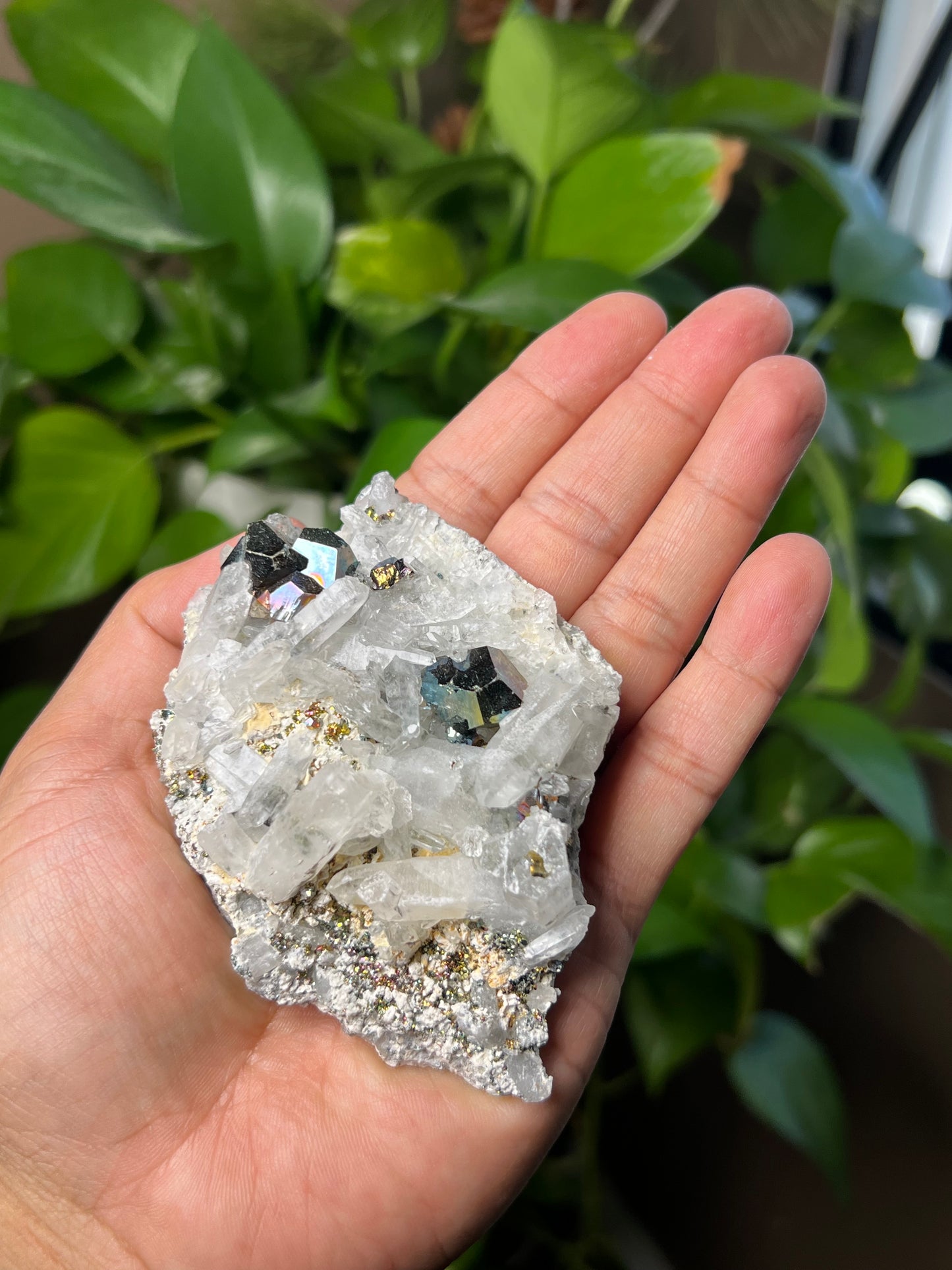 Rainbow Pyrite Quartz