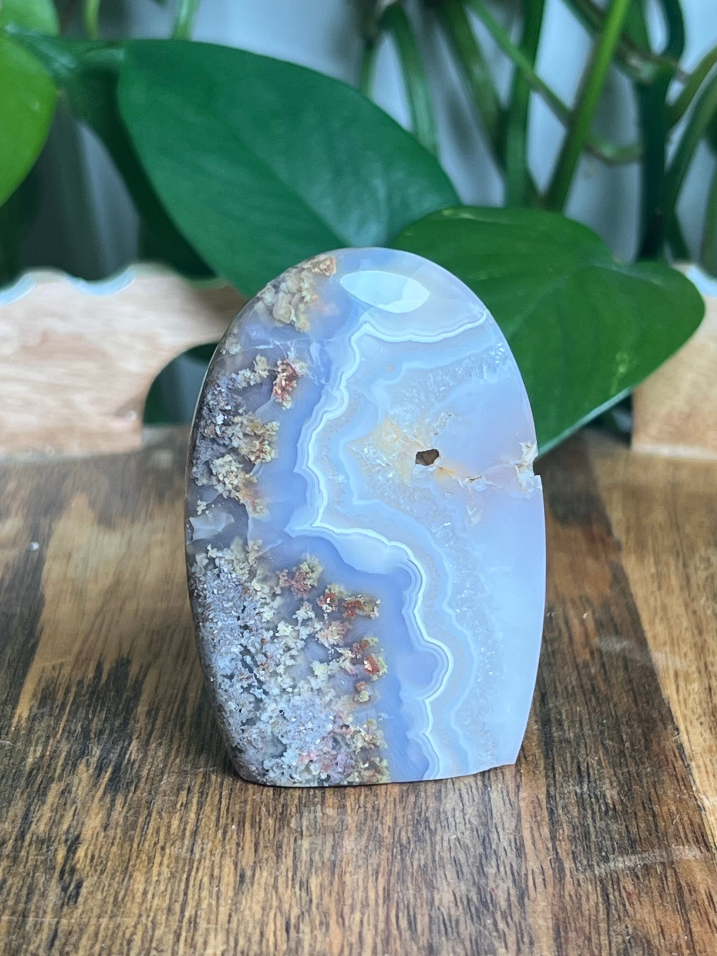 Scenic Moss Agate Mini Freeform: QX