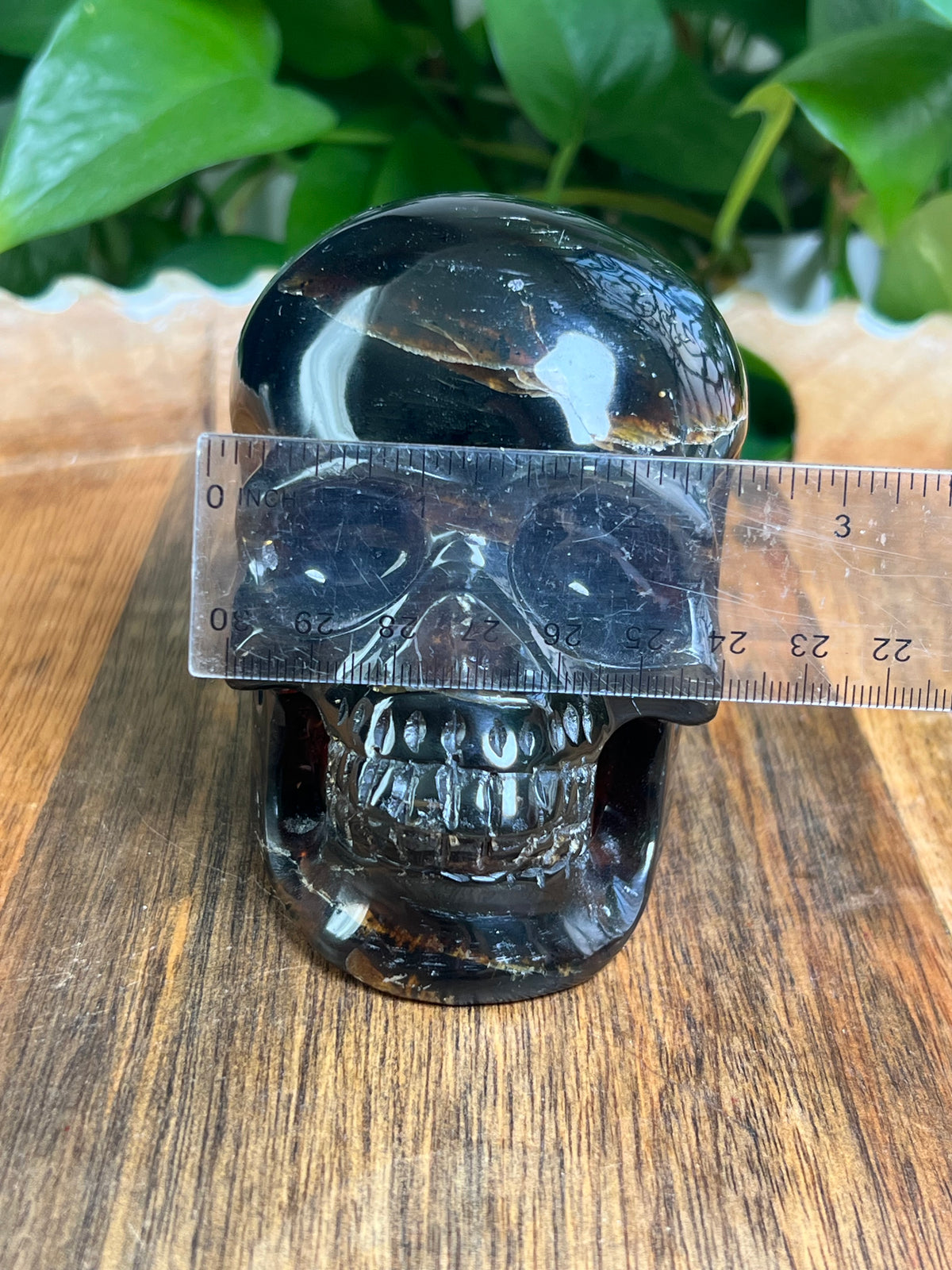 Blue Amber Skull: NX