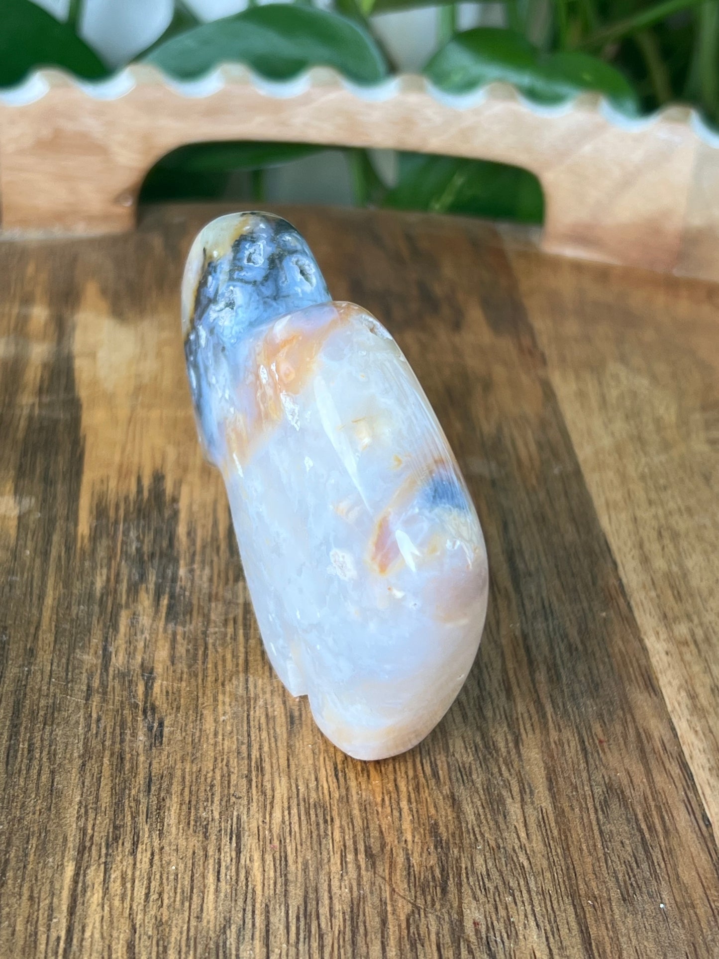 Rainbow Plume Agate Buffalo