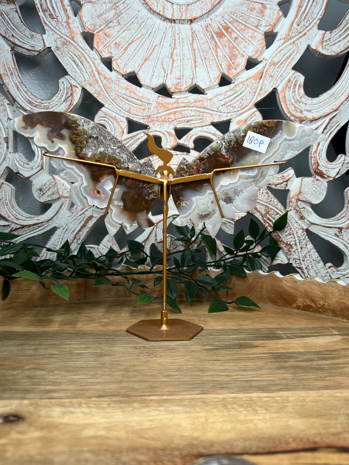 Scenic Moss Agate Wings