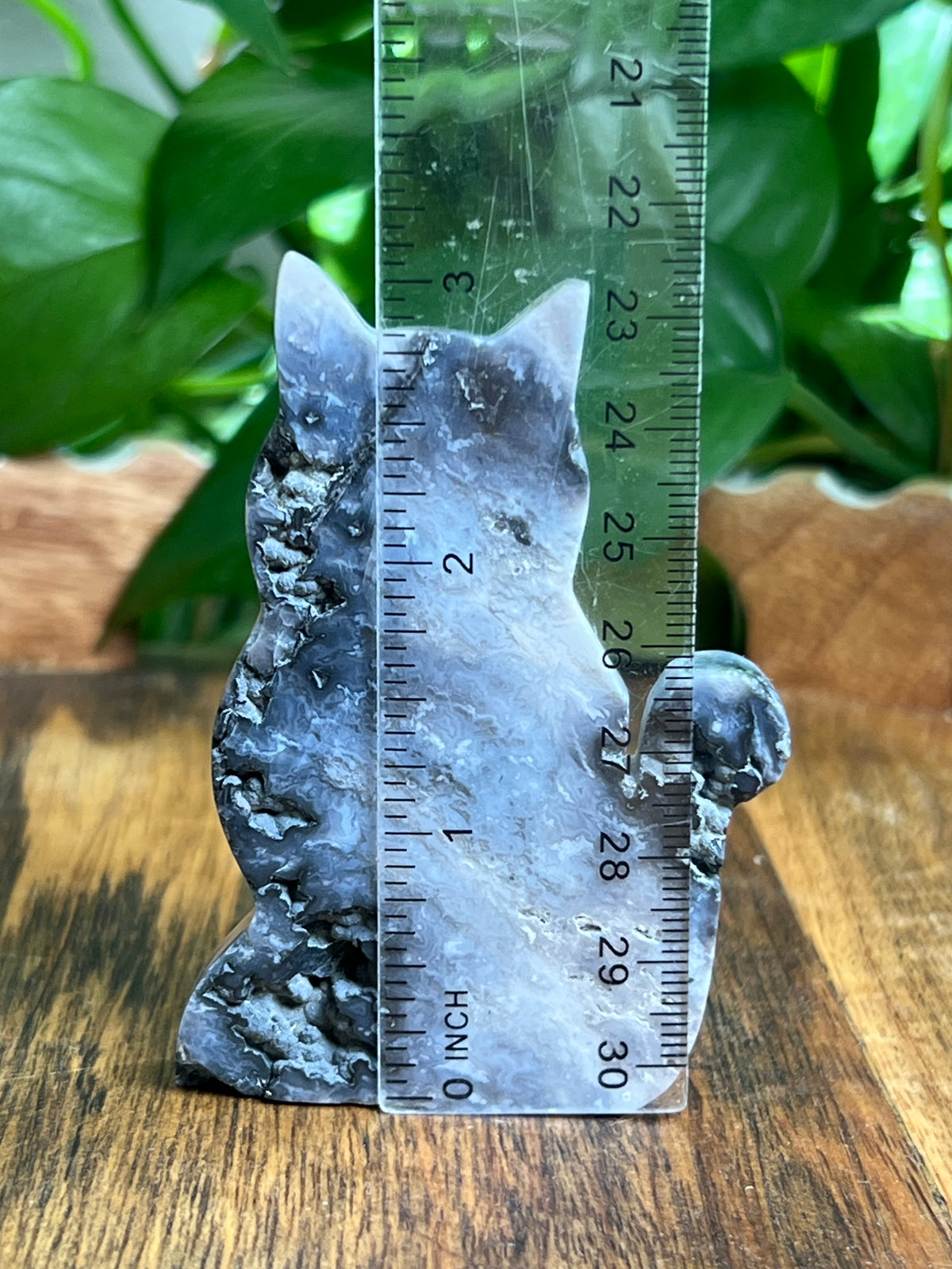 Blue Plume Agate Cat: BE