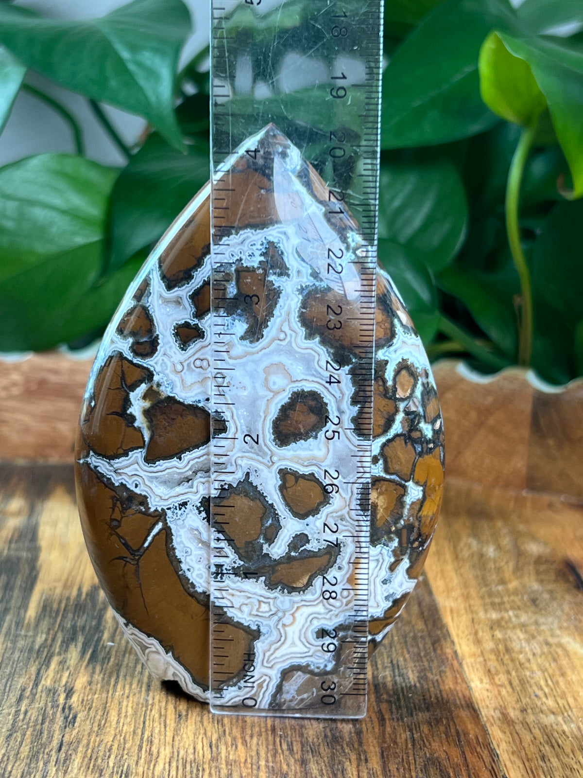 Brecciated Jasper Flame: C