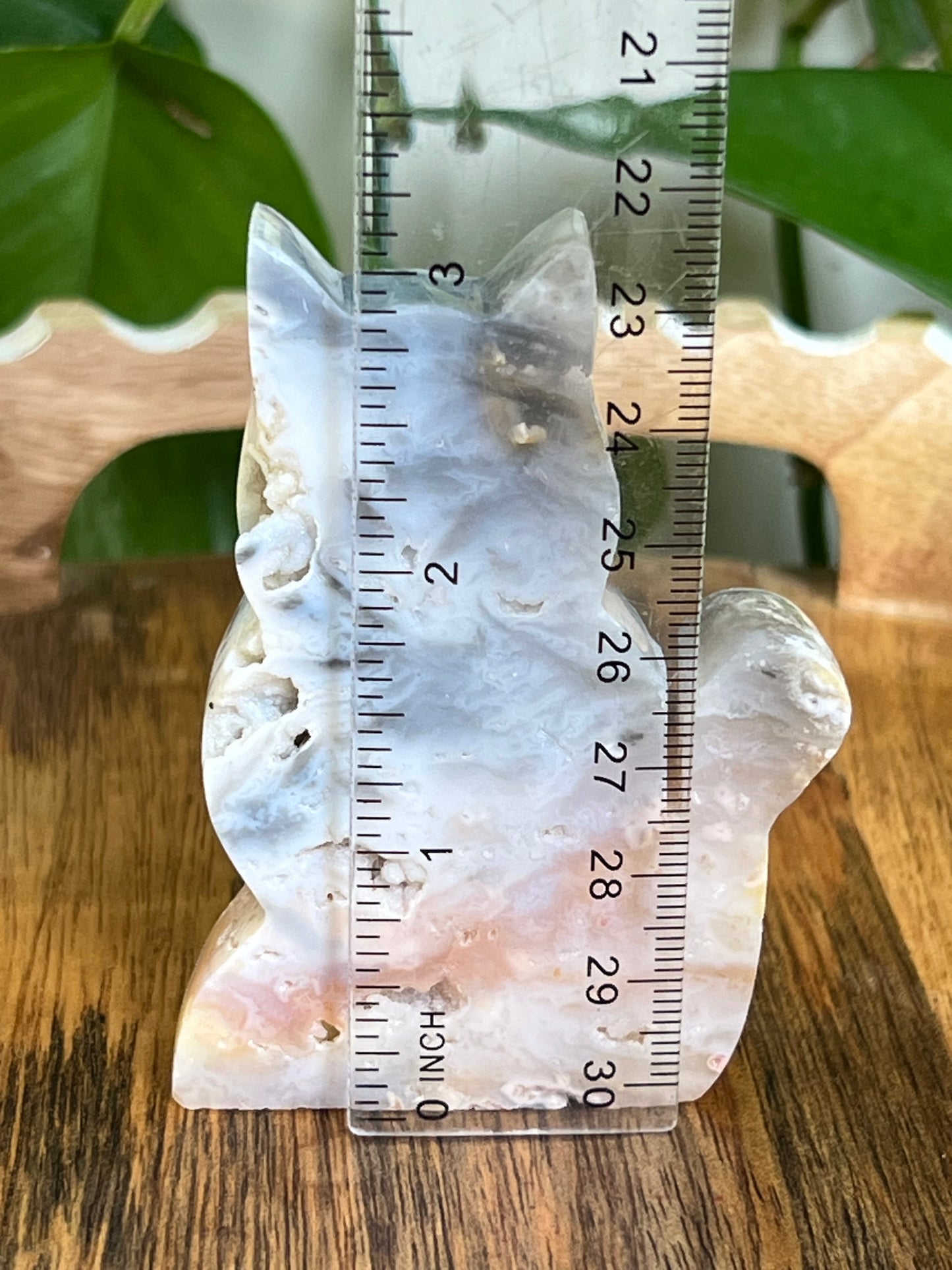 Rainbow Plume Agate Cat NH