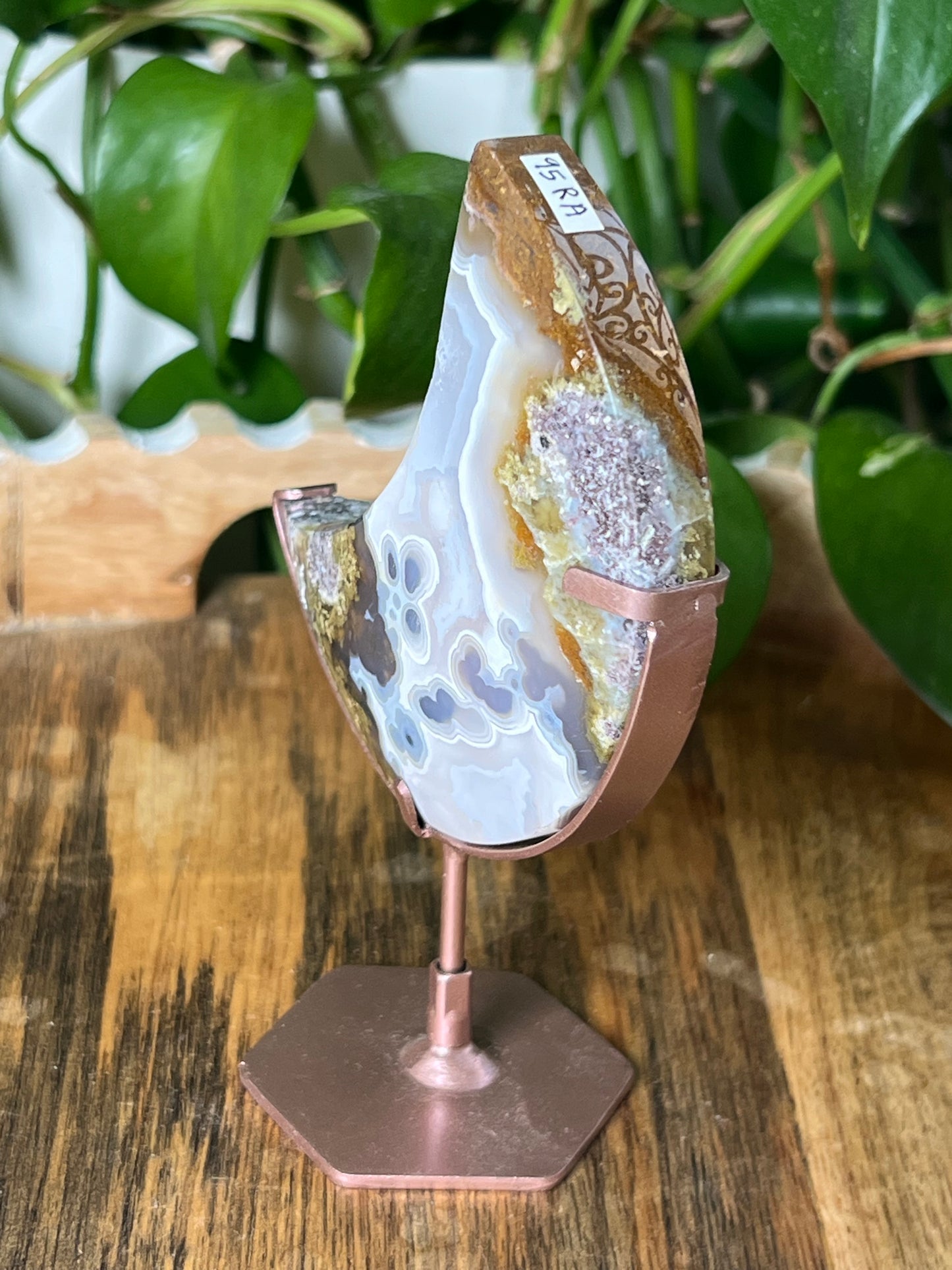 Scenic Moss Agate Moon