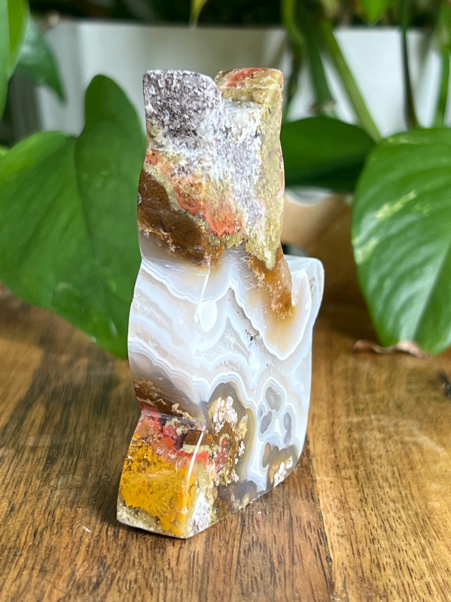 Scenic Moss Agate Cat HA
