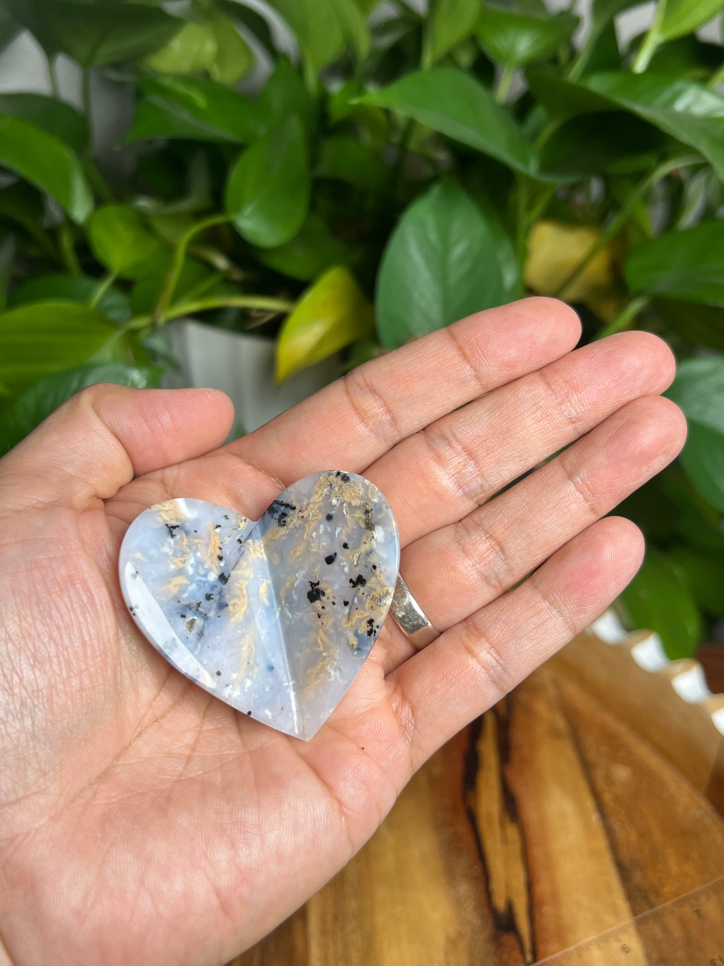 Dendritic Tiger Agate 3D Butterfly HK