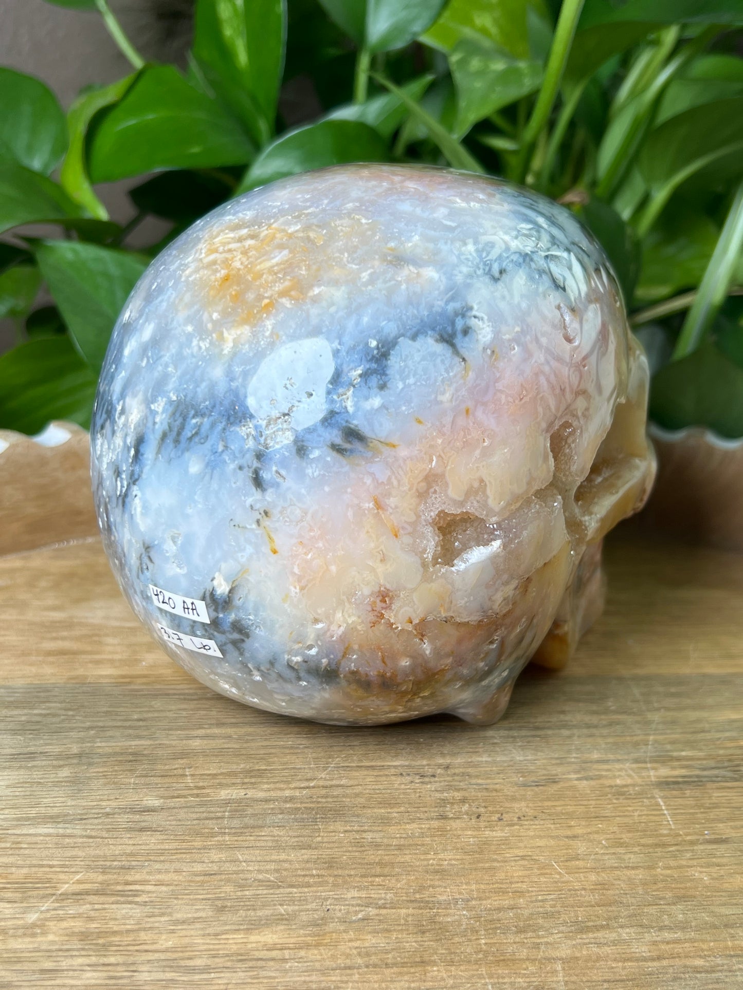 Rainbow Plume Agate Skull