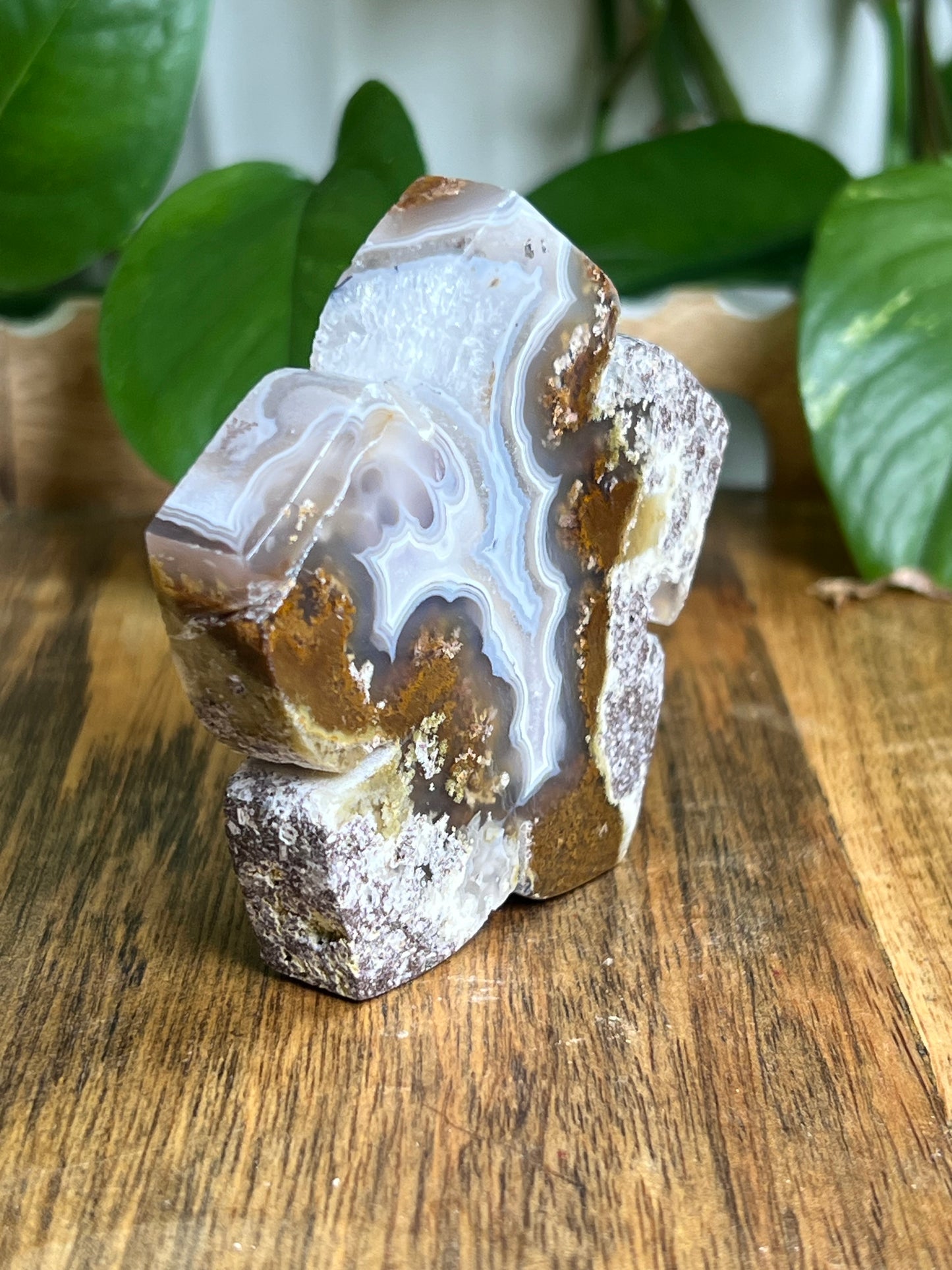 Scenic Moss Agate Flower KA