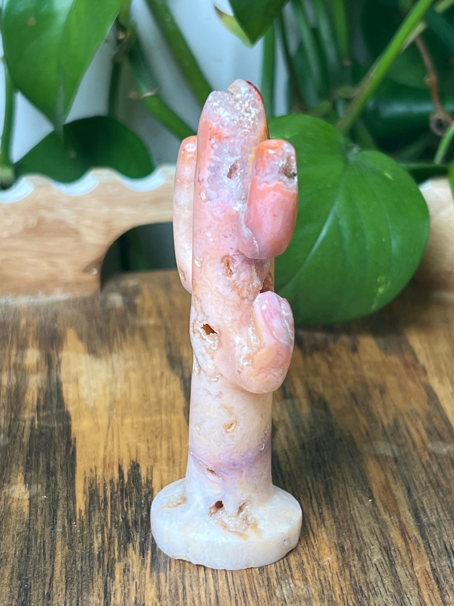 Pink Carnelian Cactus