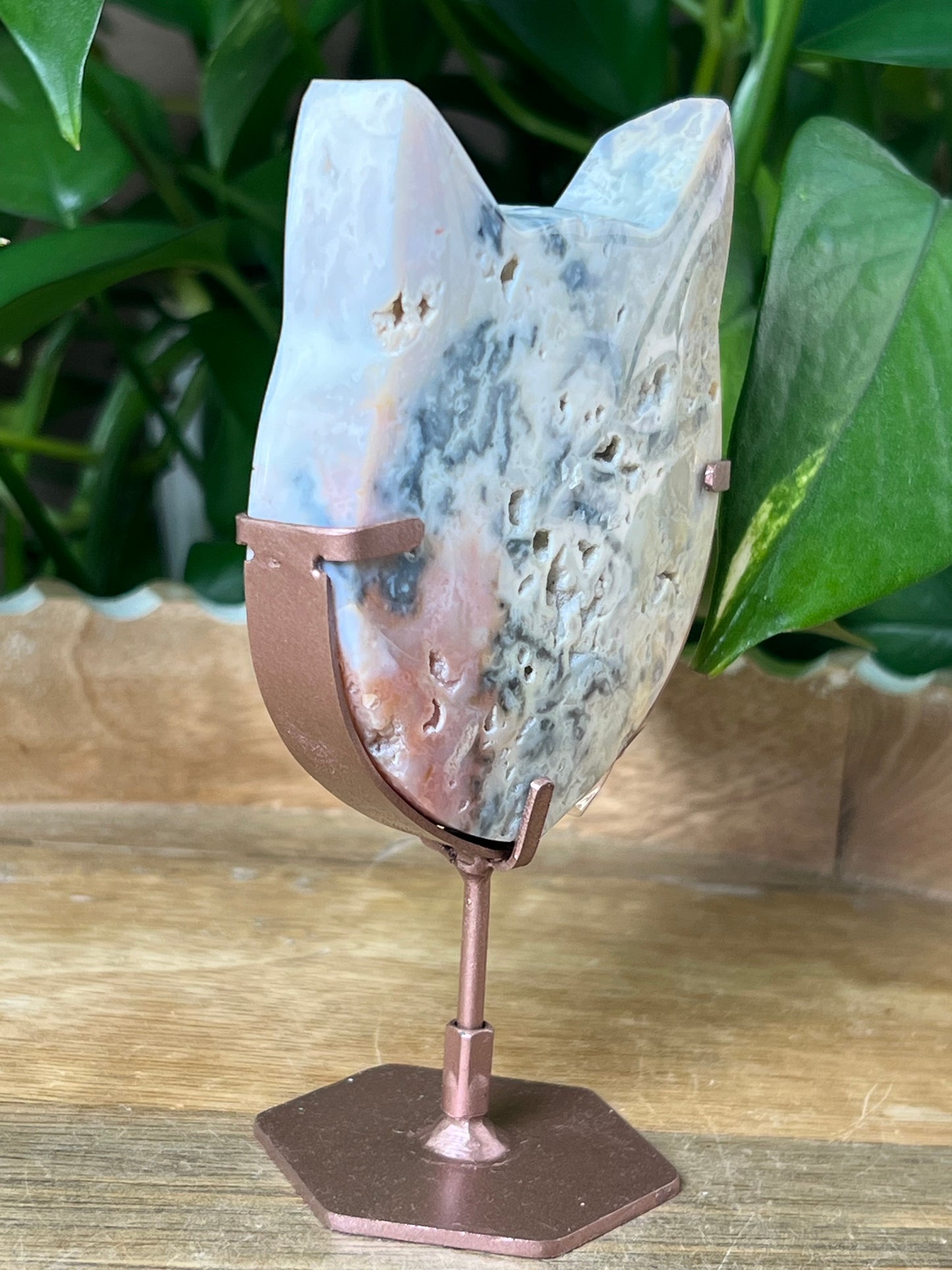 Rainbow Plume Agate Cat Head