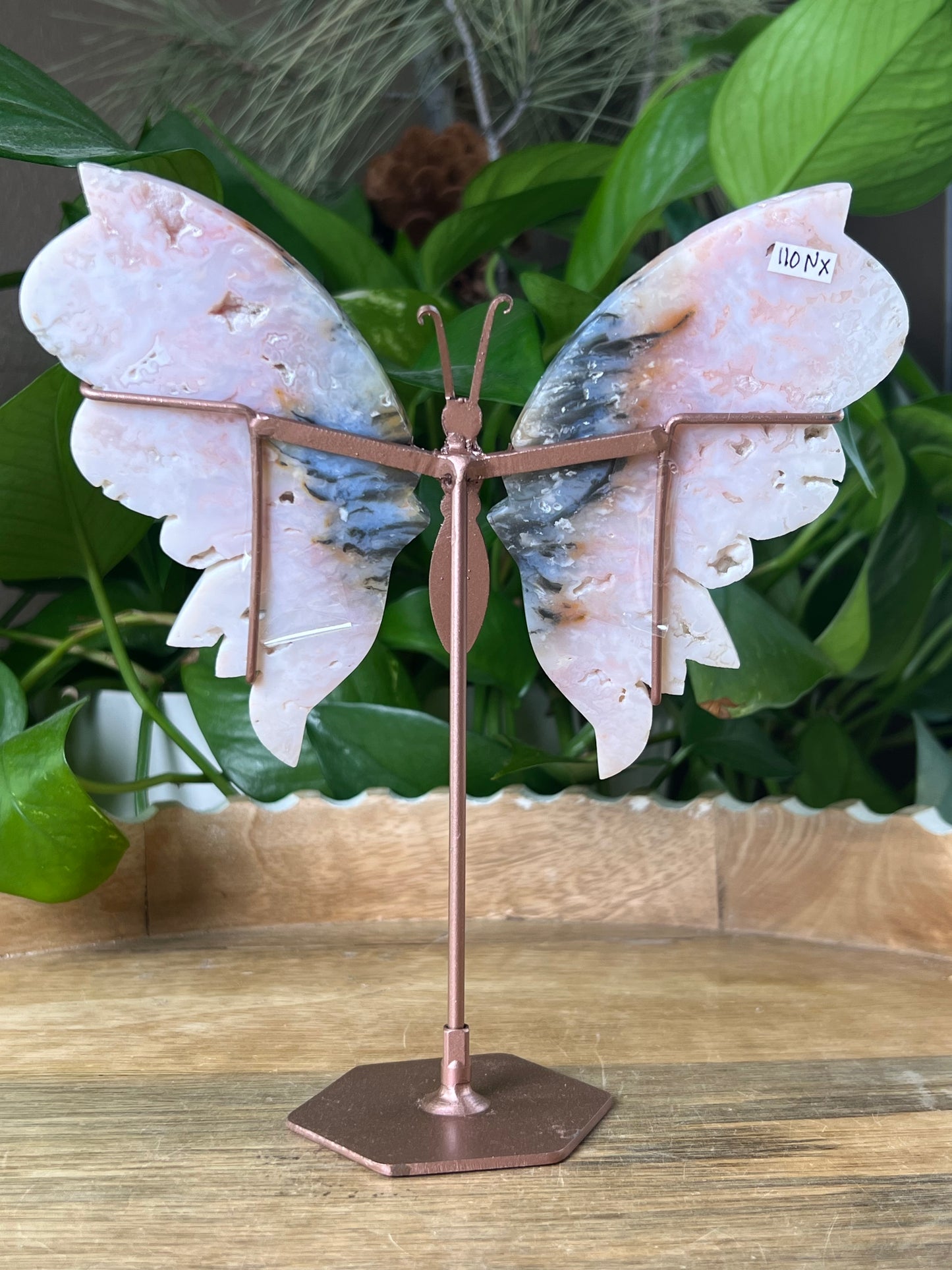 Rainbow Plume Agate Wings