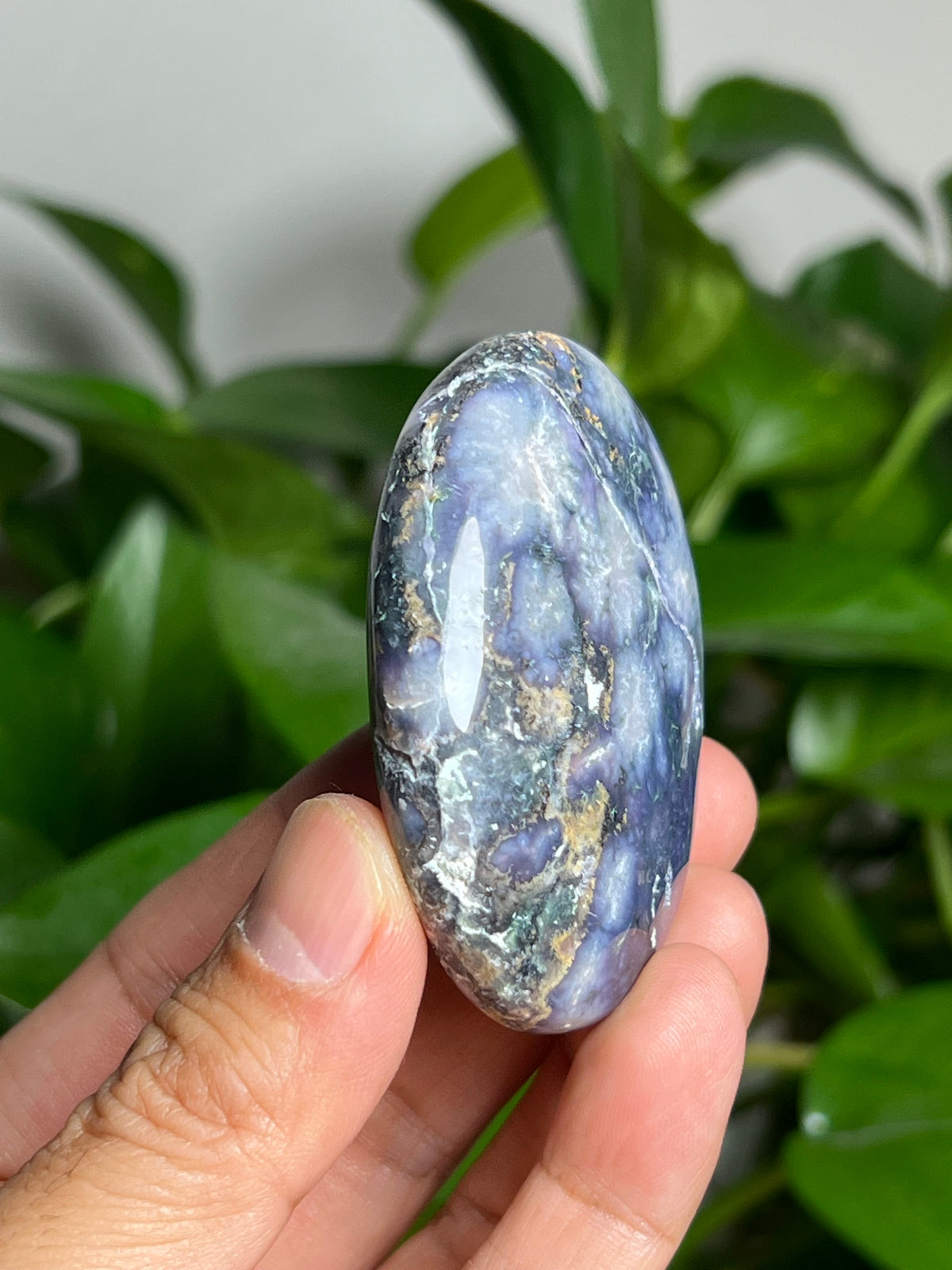 Grape Agate Palmstone: PW