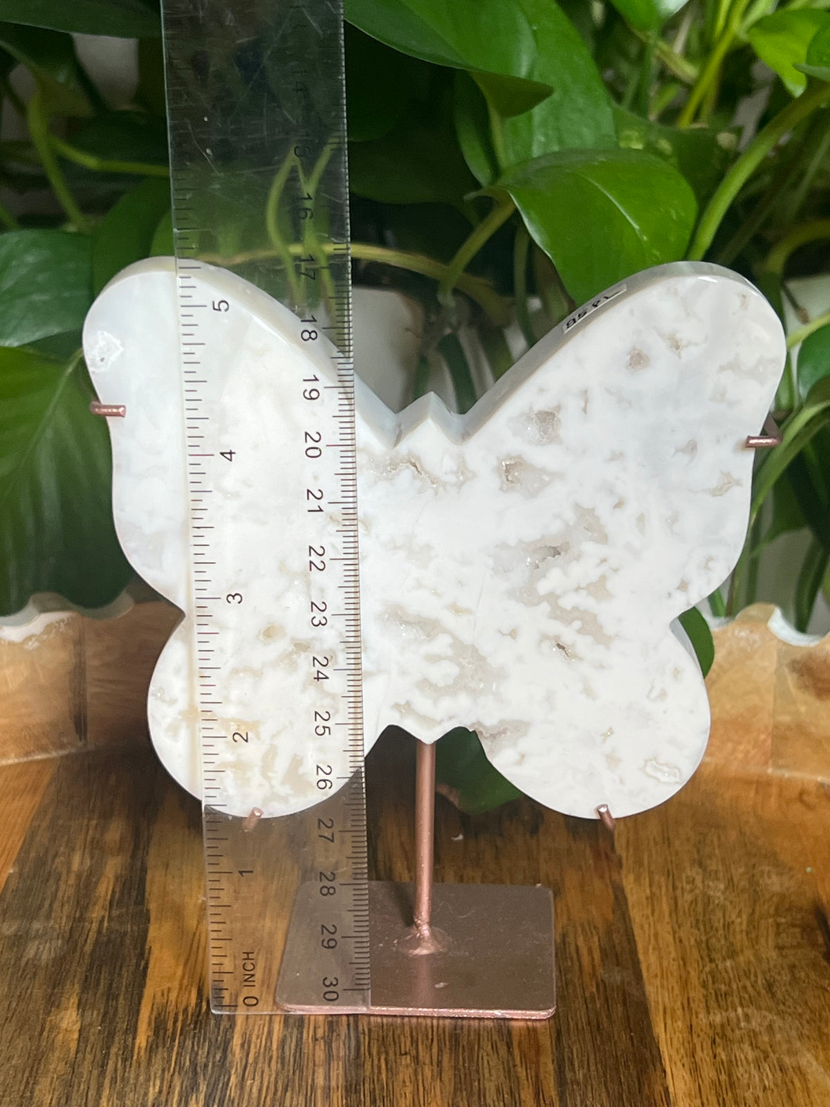 White Plume Agate Butterfly: PL