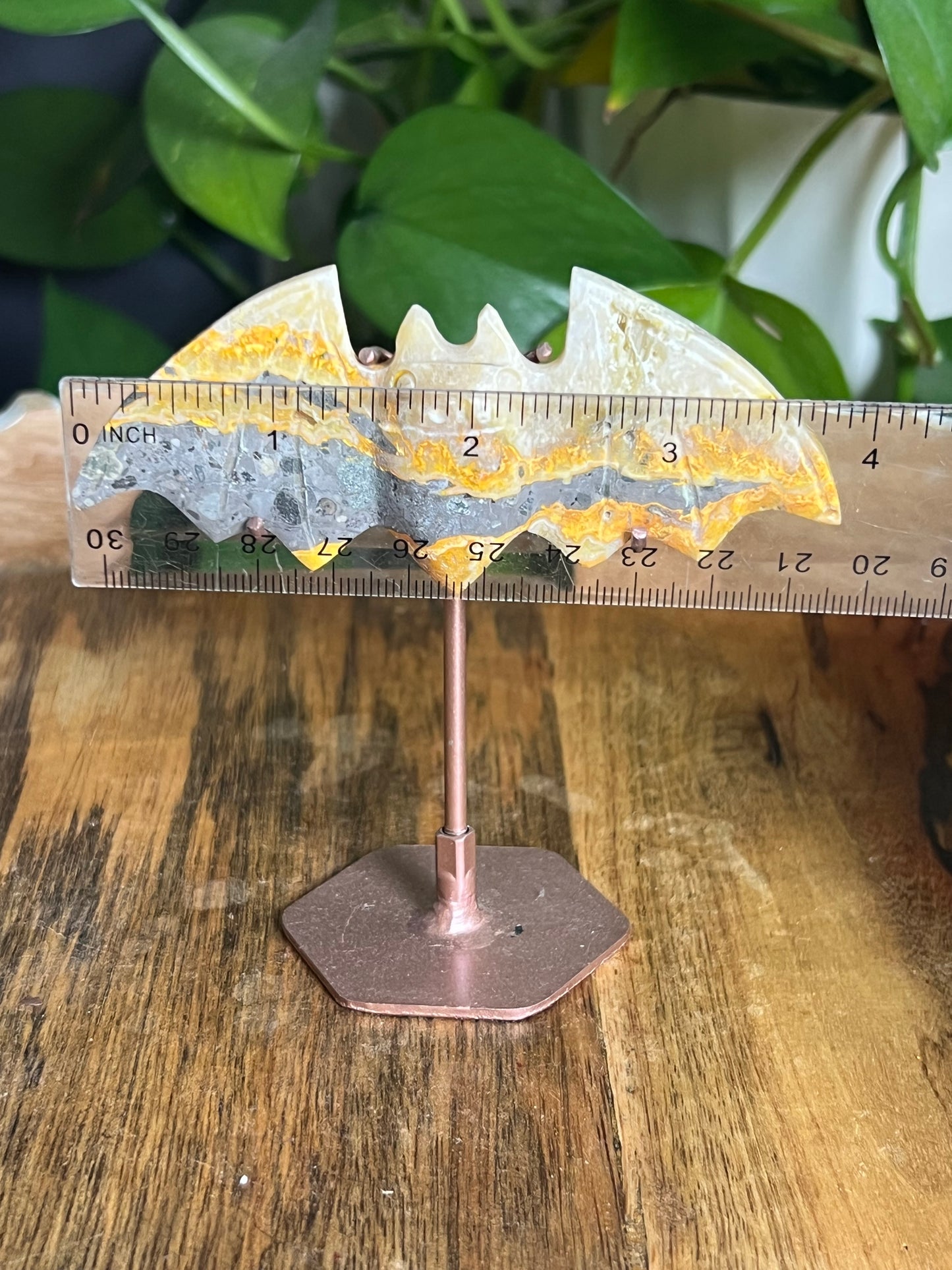 Bumblebee Jasper Bat