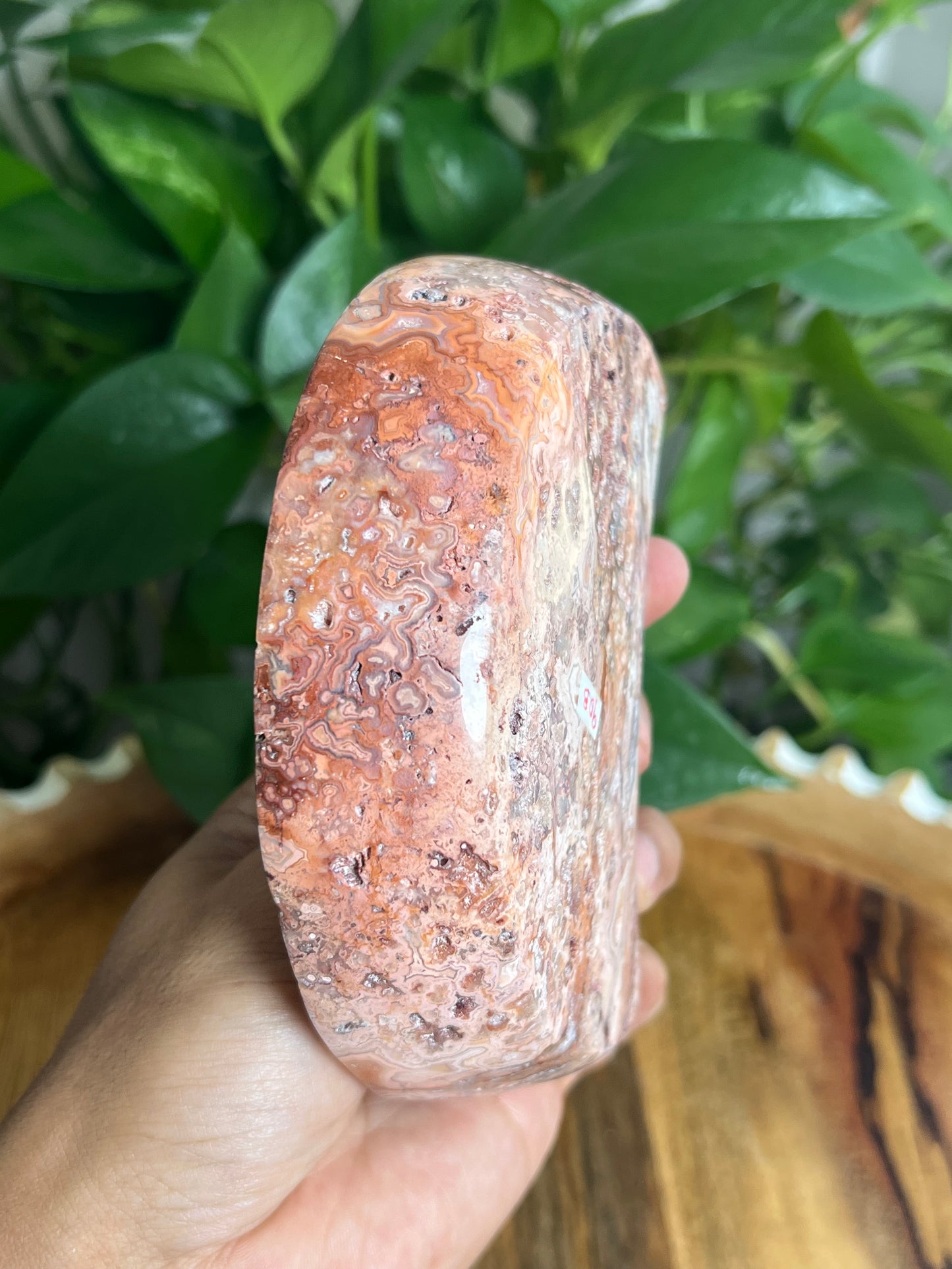 Crazy Lace Agate Moon Bowl: B