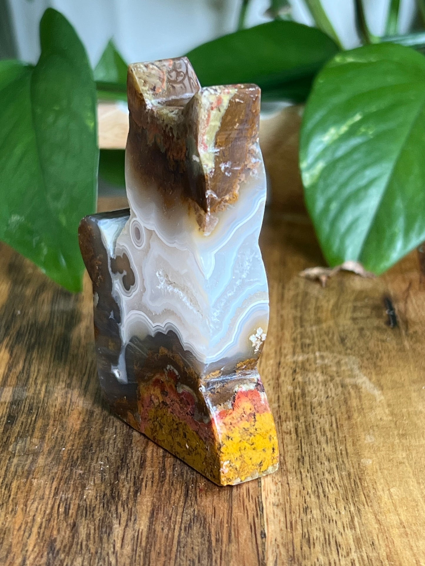 Scenic Moss Agate Cat HY