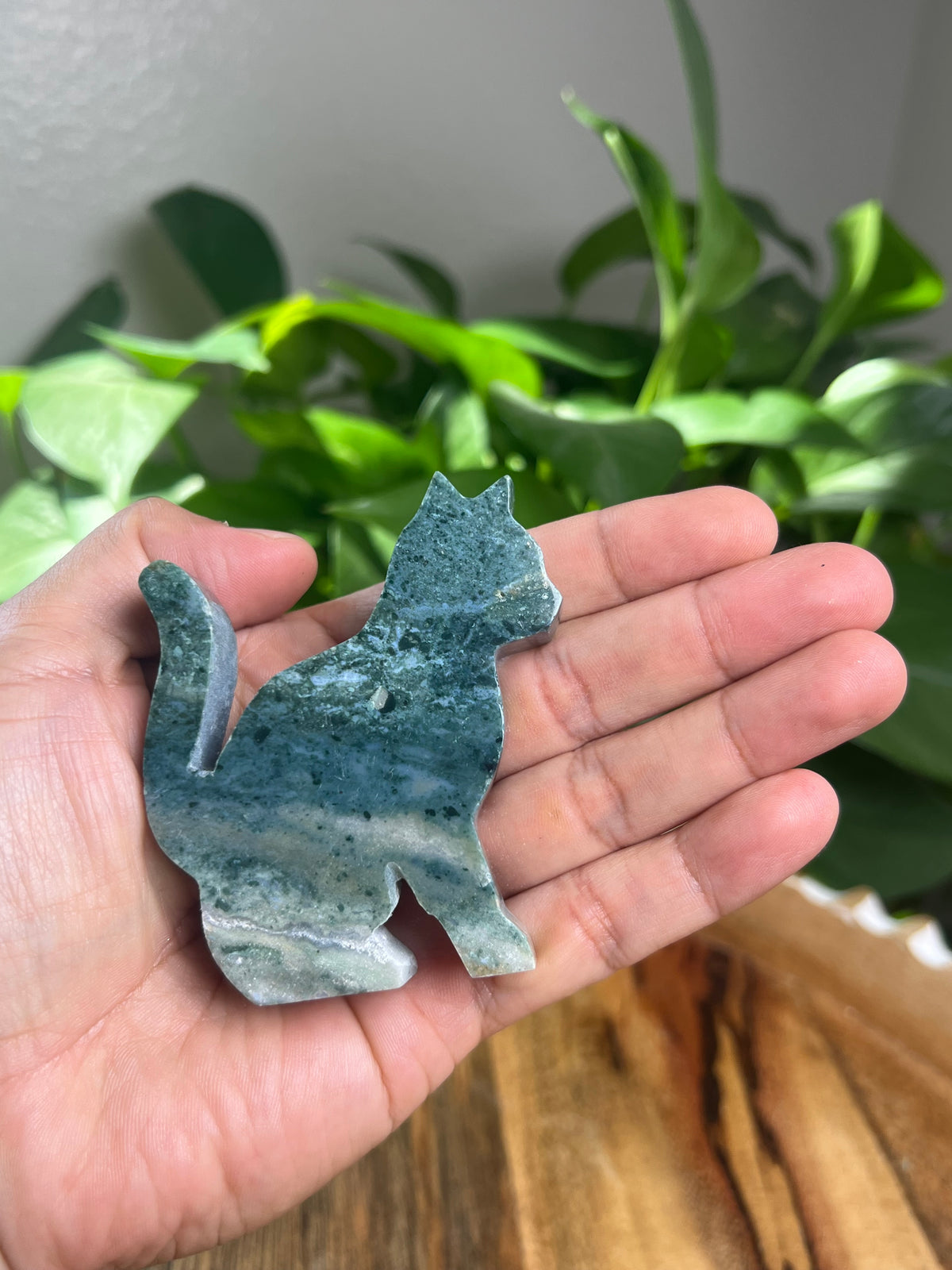 Blue Green Jasper Cat: CE