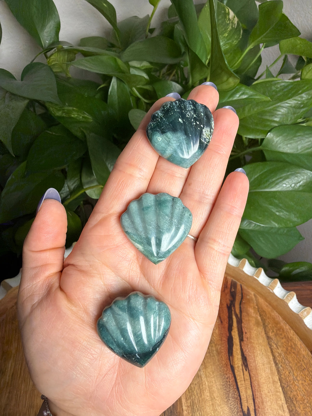 Blue Green Jasper Shells