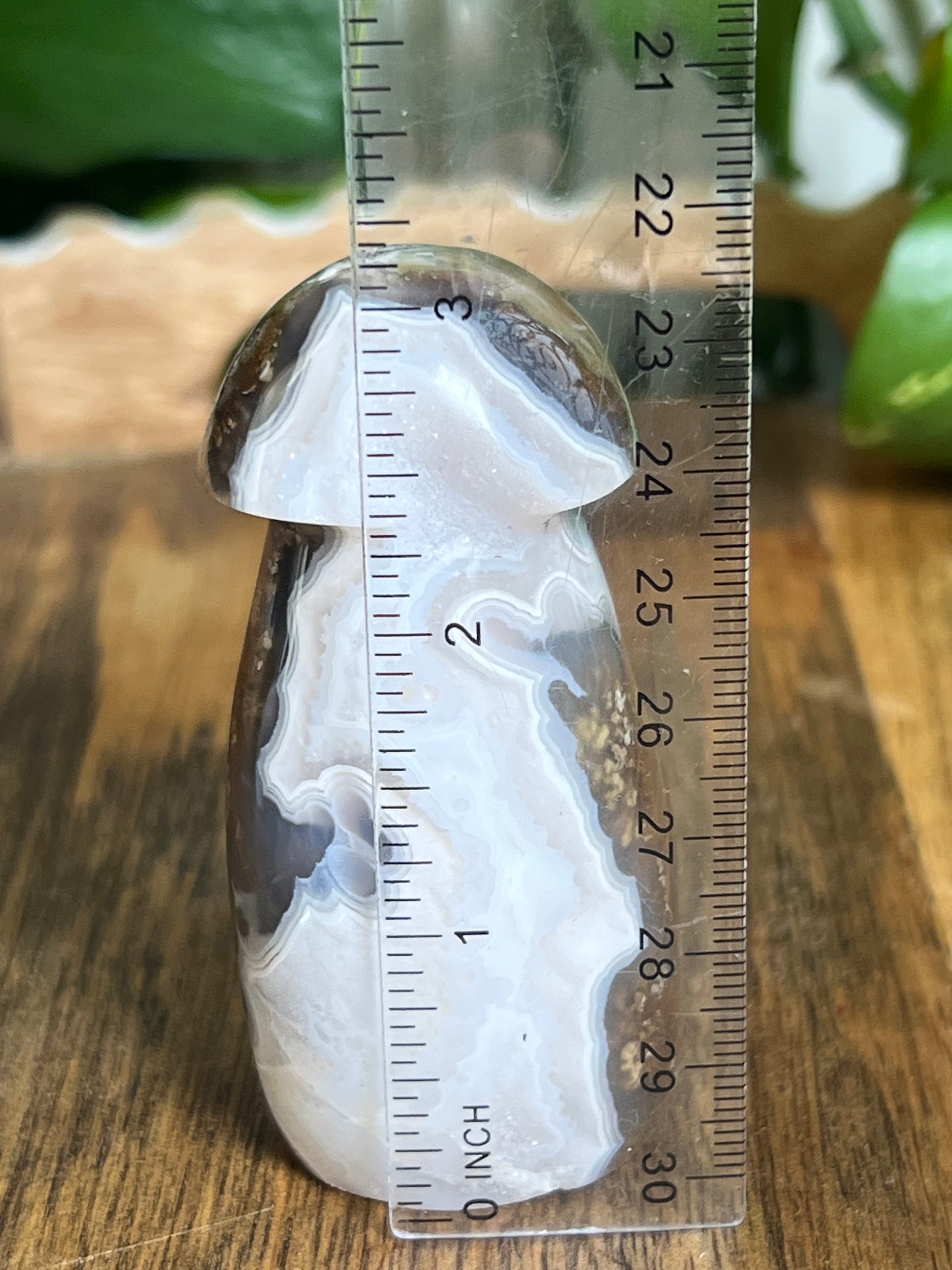 Scenic Moss Agate Mushroom