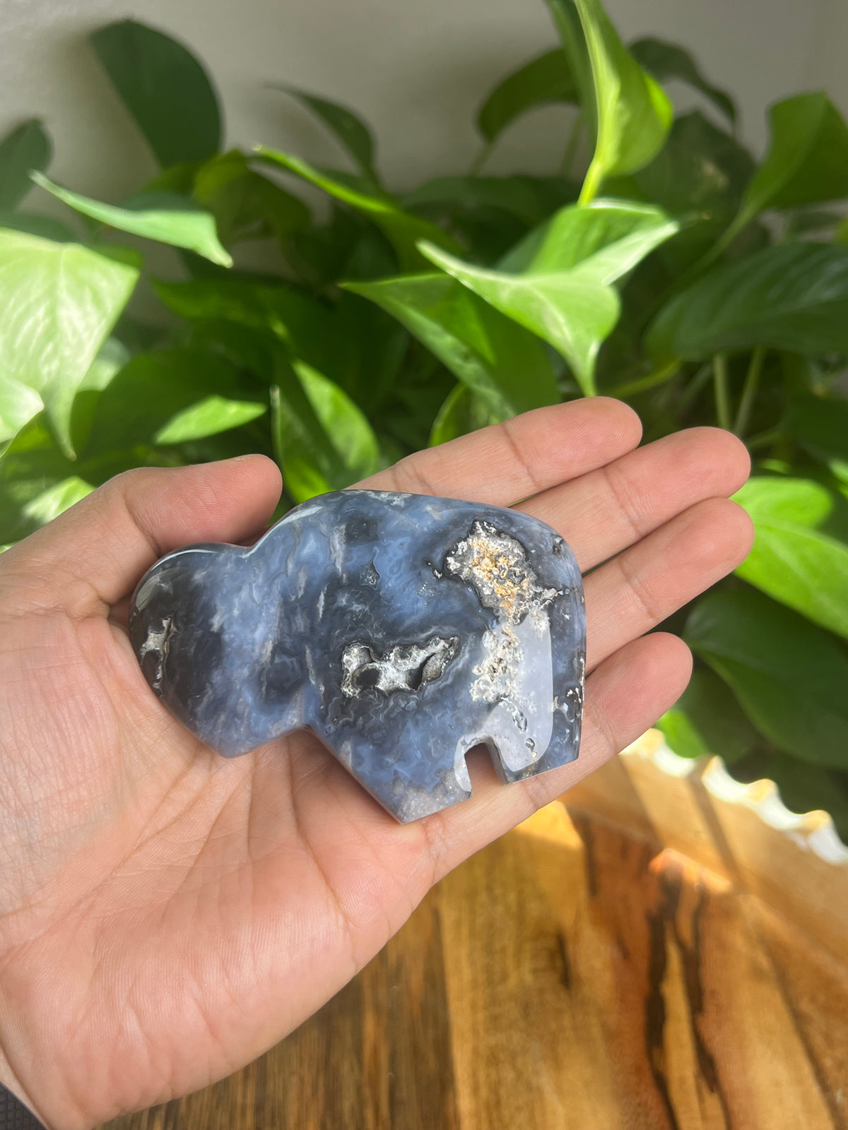 Blue Plume Agate Buffalo: BF