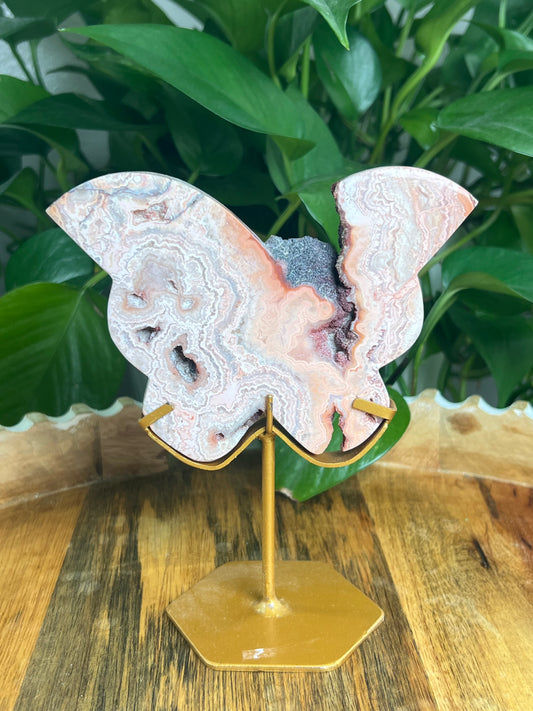 Crazy Lace Agate Butterfly: PG