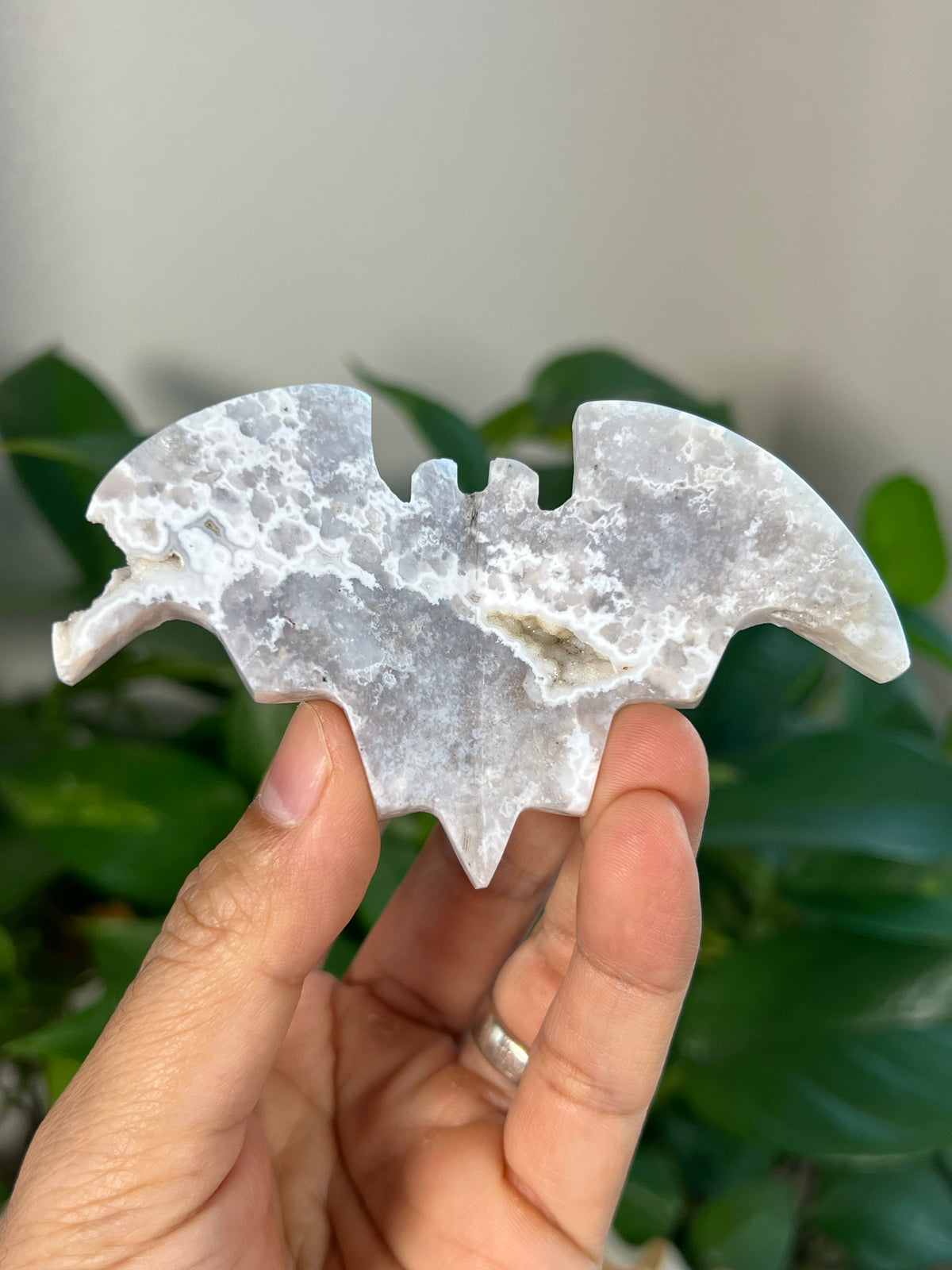 Blue Plume Agate 3D Bats