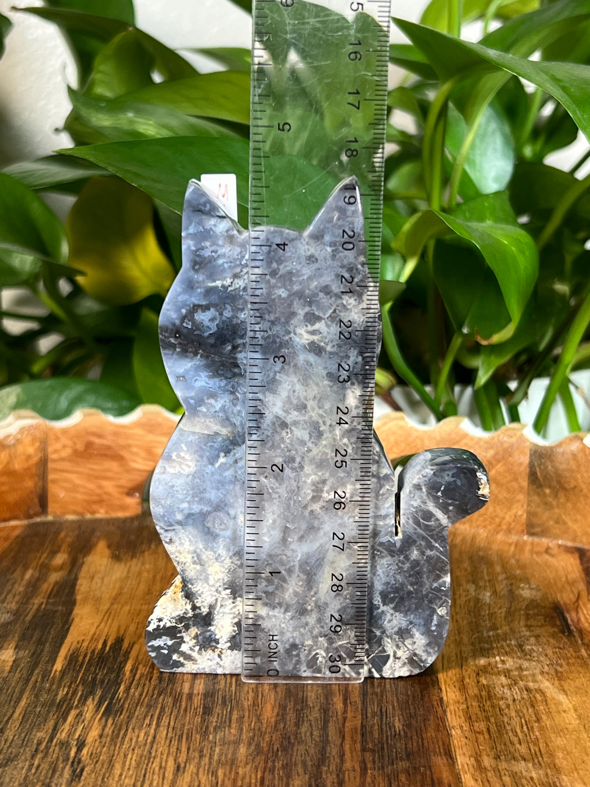 Blue Plume Agate Cats