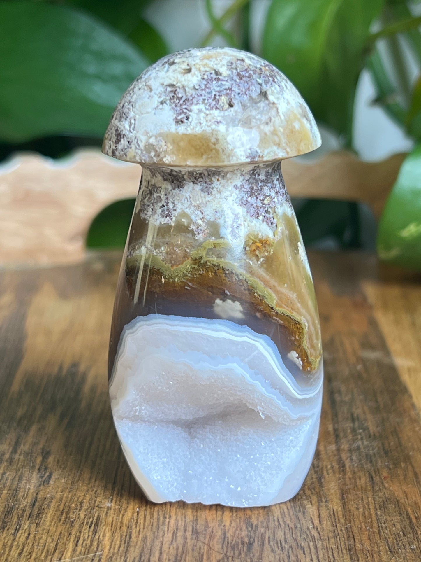 Scenic Moss Agate Mushroom