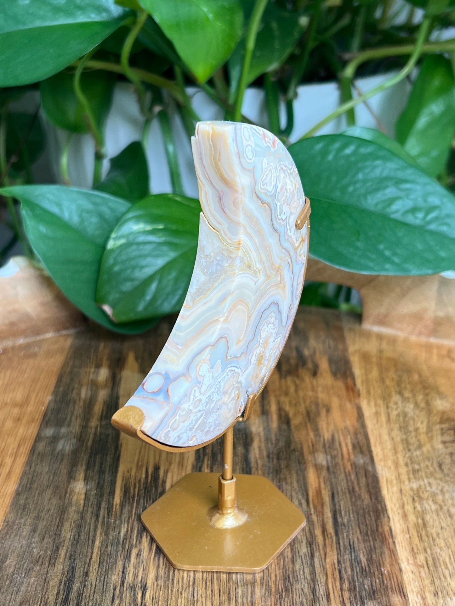 Yellow Crazy Lace Agate Moon: EB