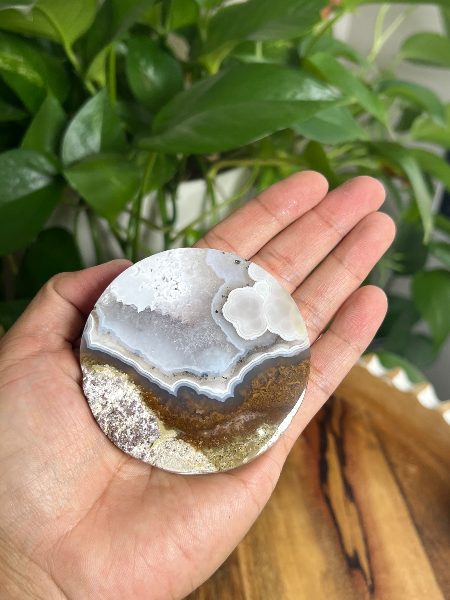 Scenic Moss Agate Coaster: KE