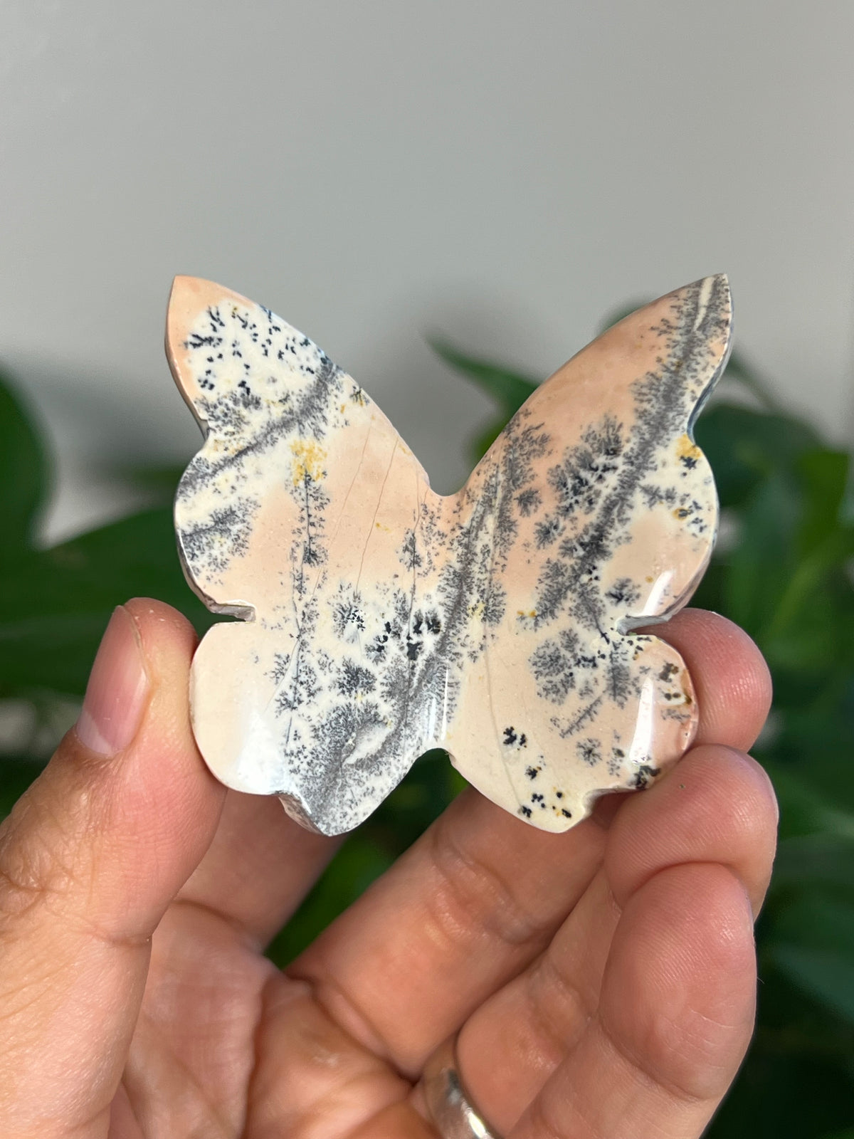 Peachy Pink Dendritic Jasper 3D Butterflies