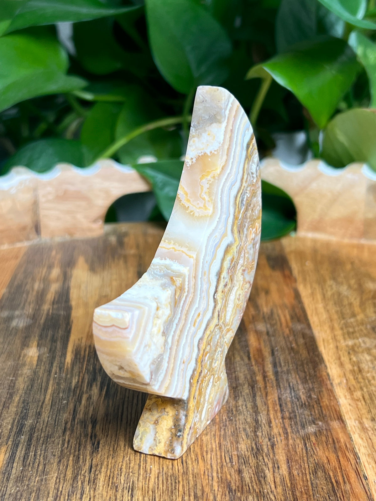 Crazy Lace Agate Self Standing Moon: BE