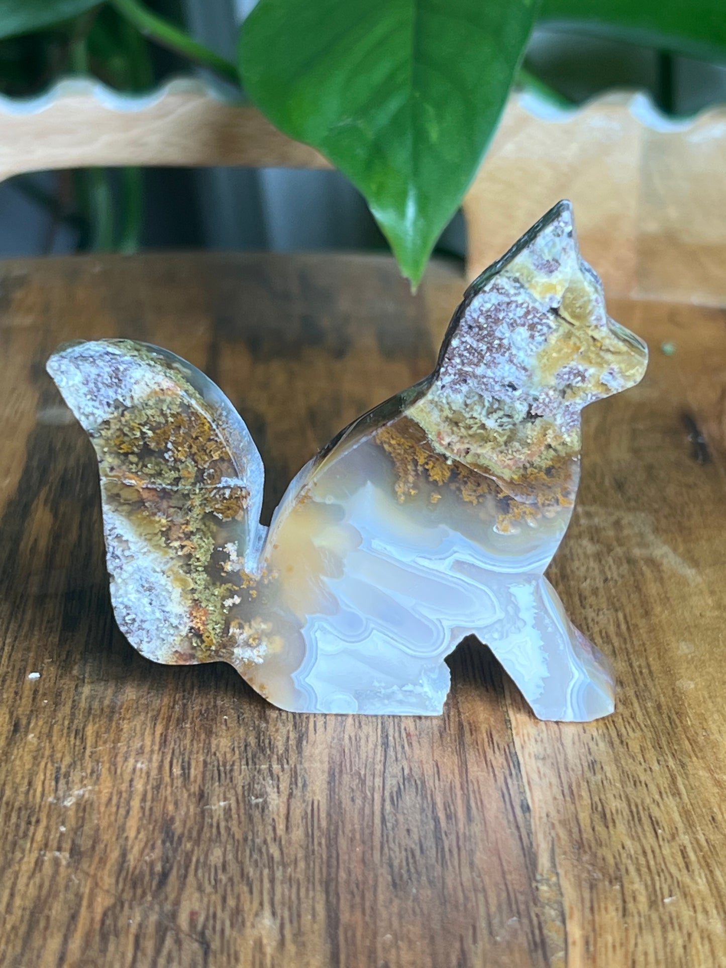 Scenic Moss Agate Fox PX