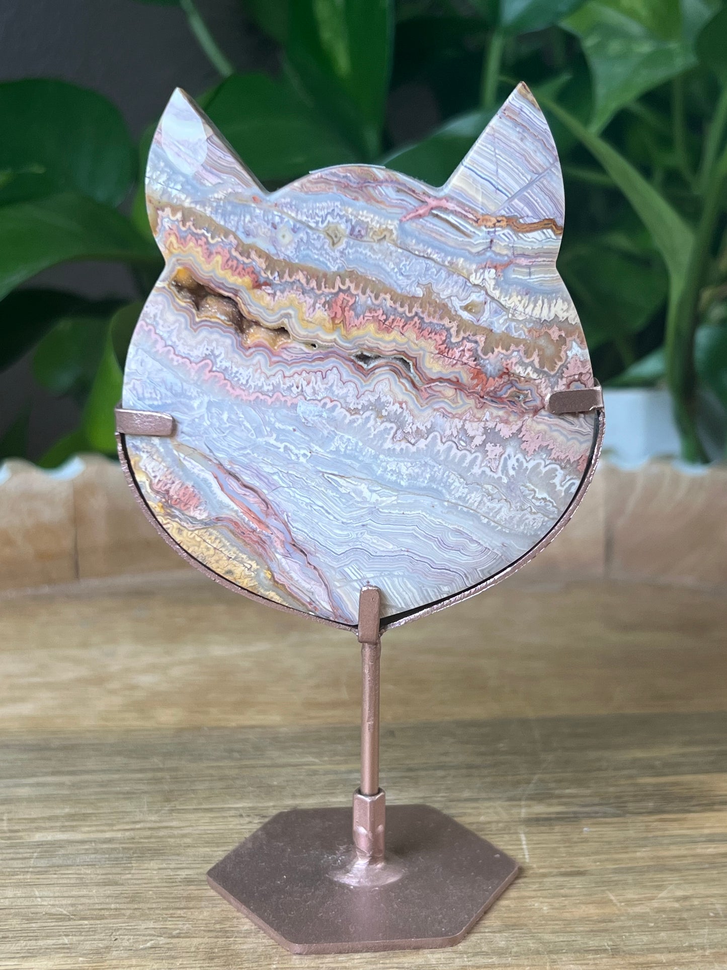 Crazy Lace Agate Cat