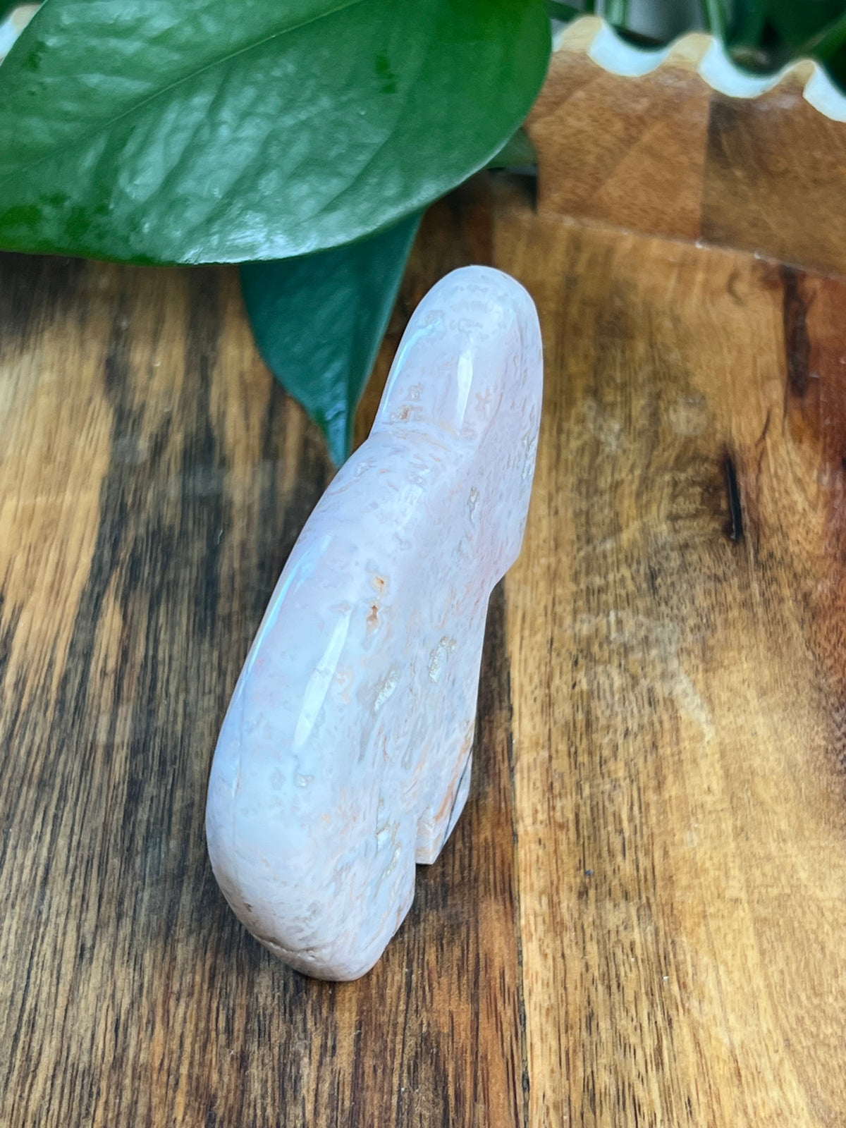 Pink Carnelian Buffalo: VA