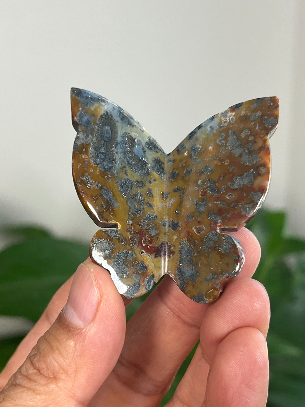 Marcasite 3D Butterflies