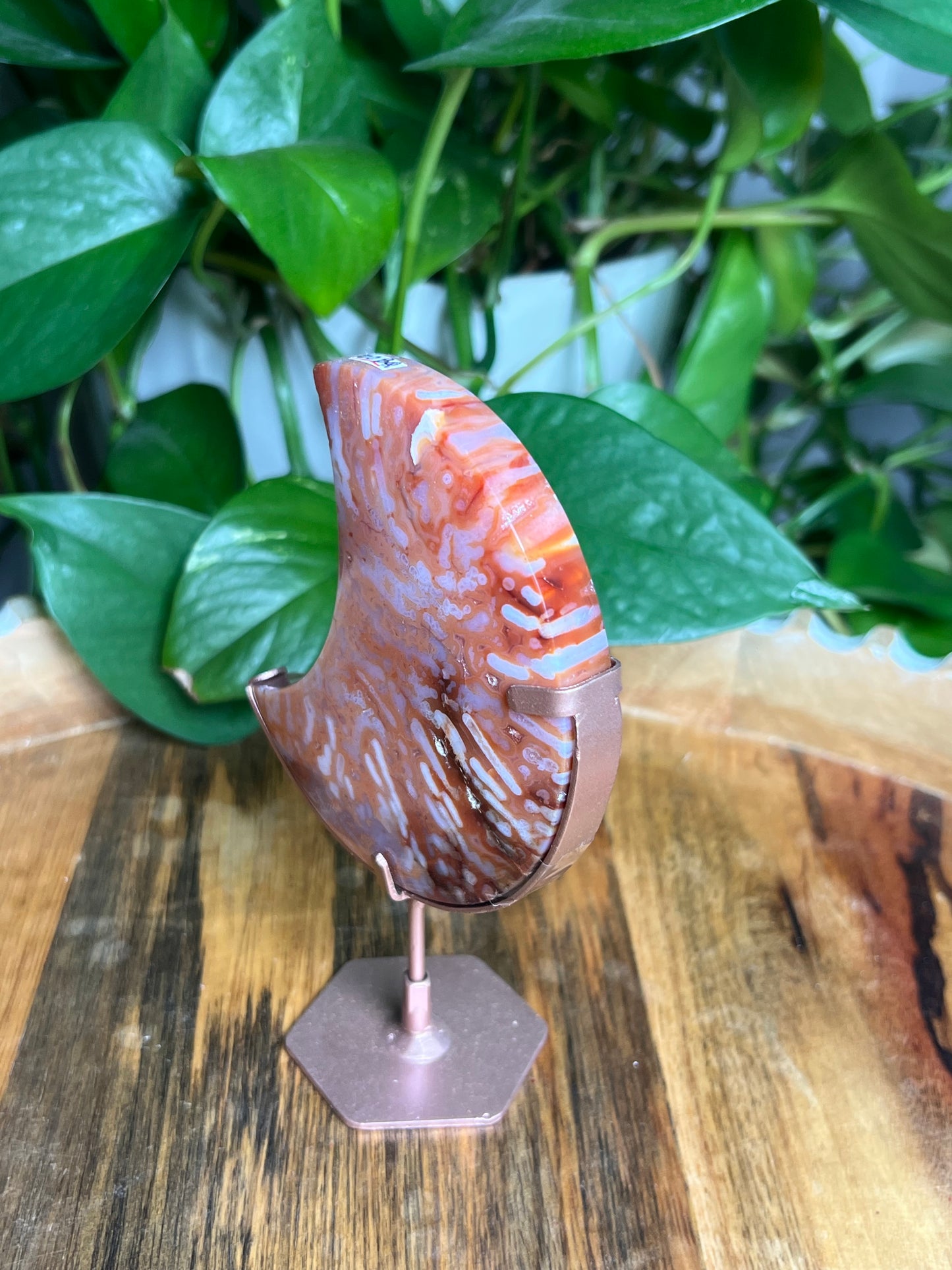 Carnelian Moon: BQ