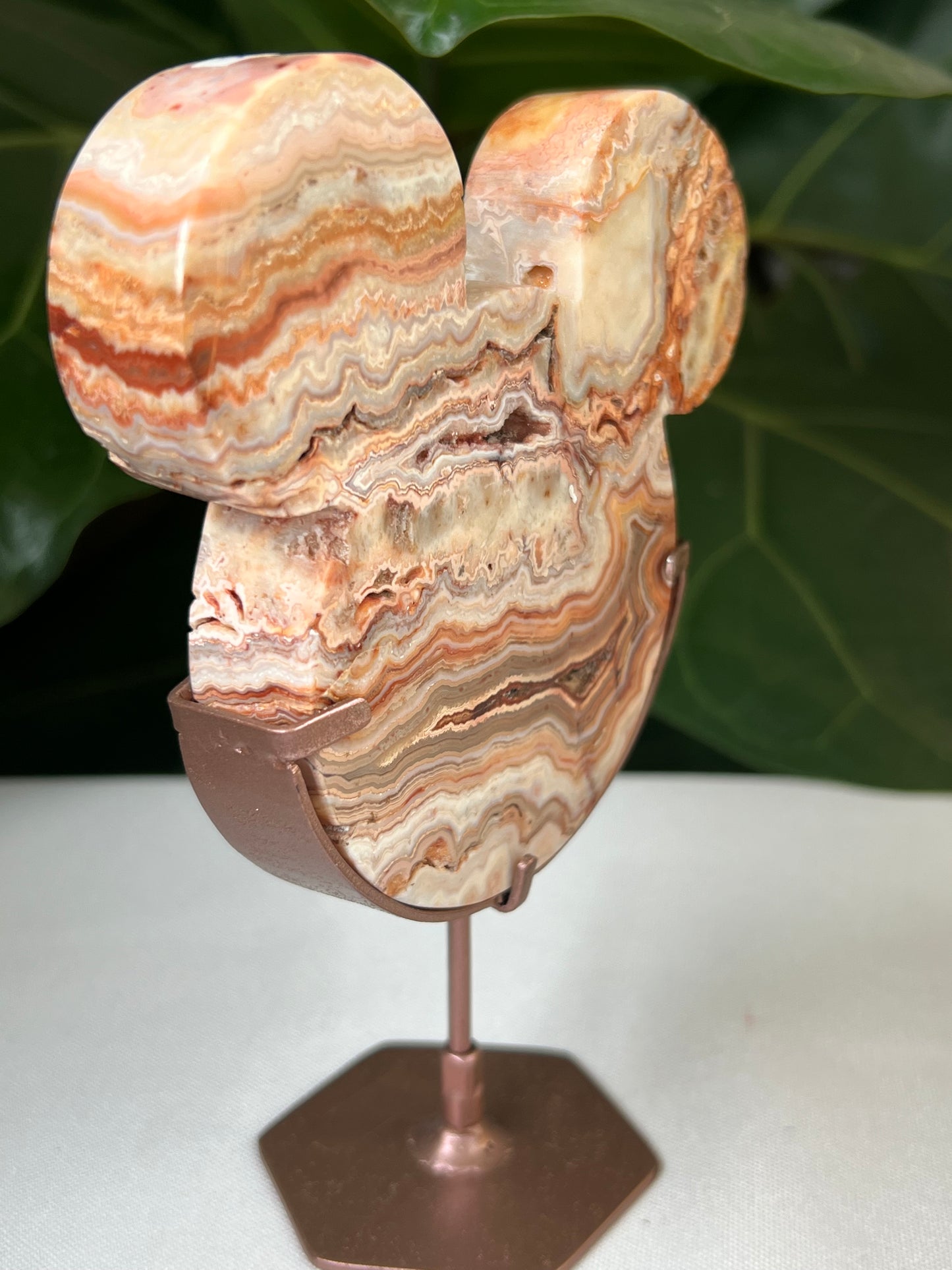 Crazy Lace Agate Bear Head