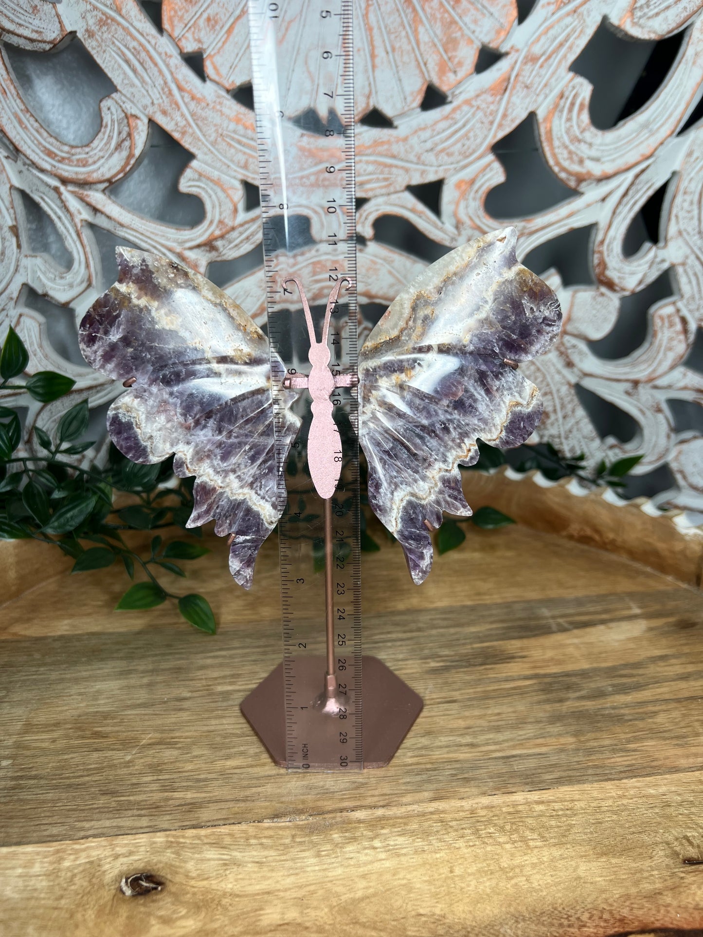 Indonesian Amethyst Wings