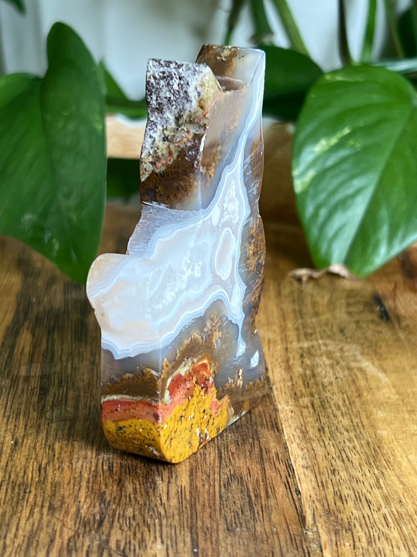 Scenic Moss Agate Cat HZ