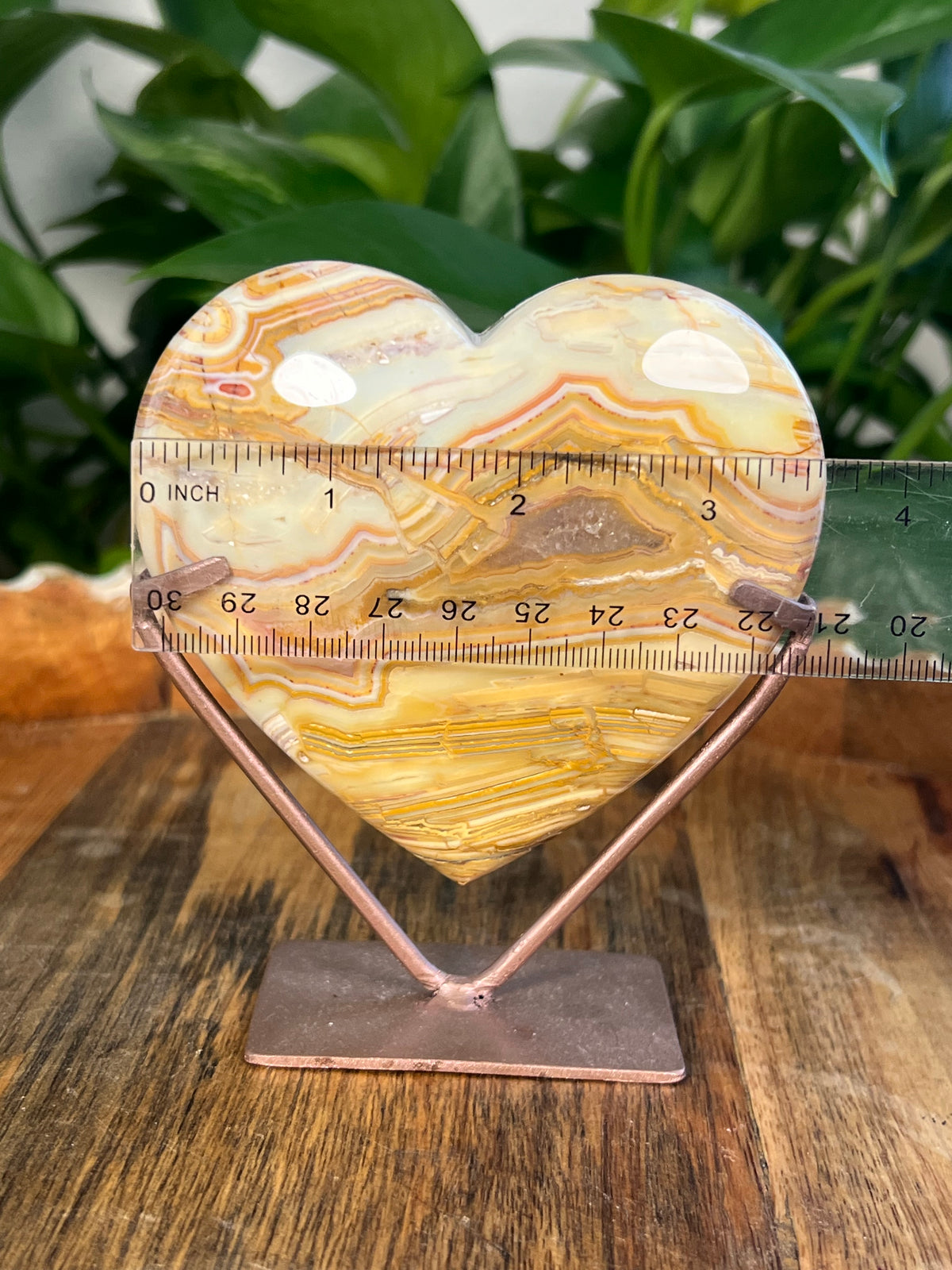 Crazy Lace Agate Heart: XS