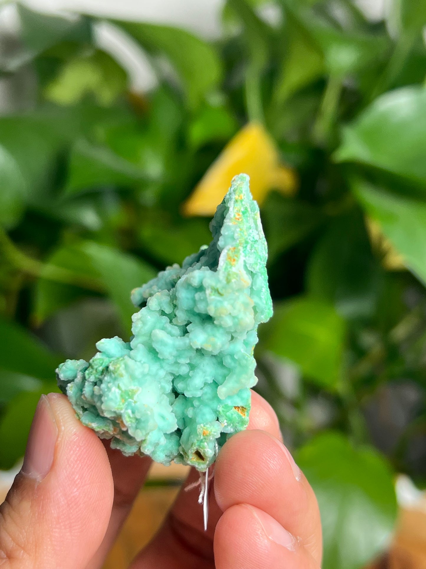 Smithsonite Specimen KB