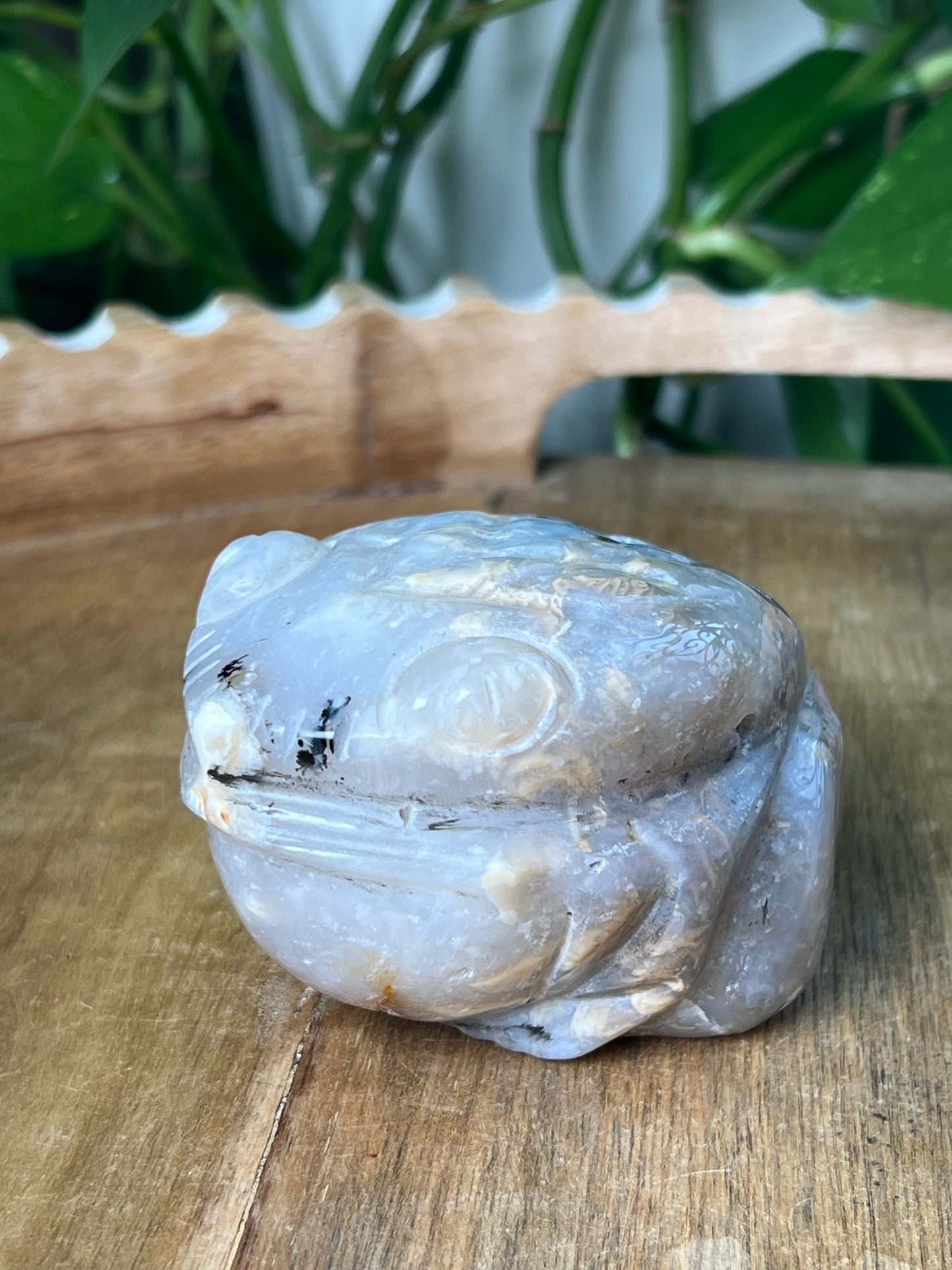 Dendritic Tiger Agate Frog
