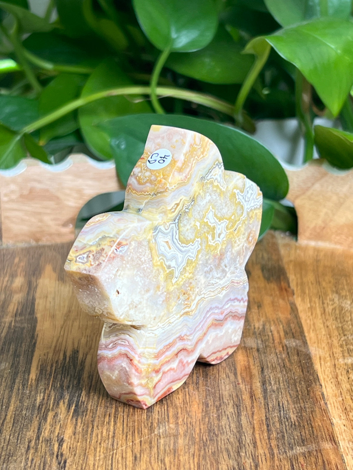Crazy Lace Agate Flower: CD