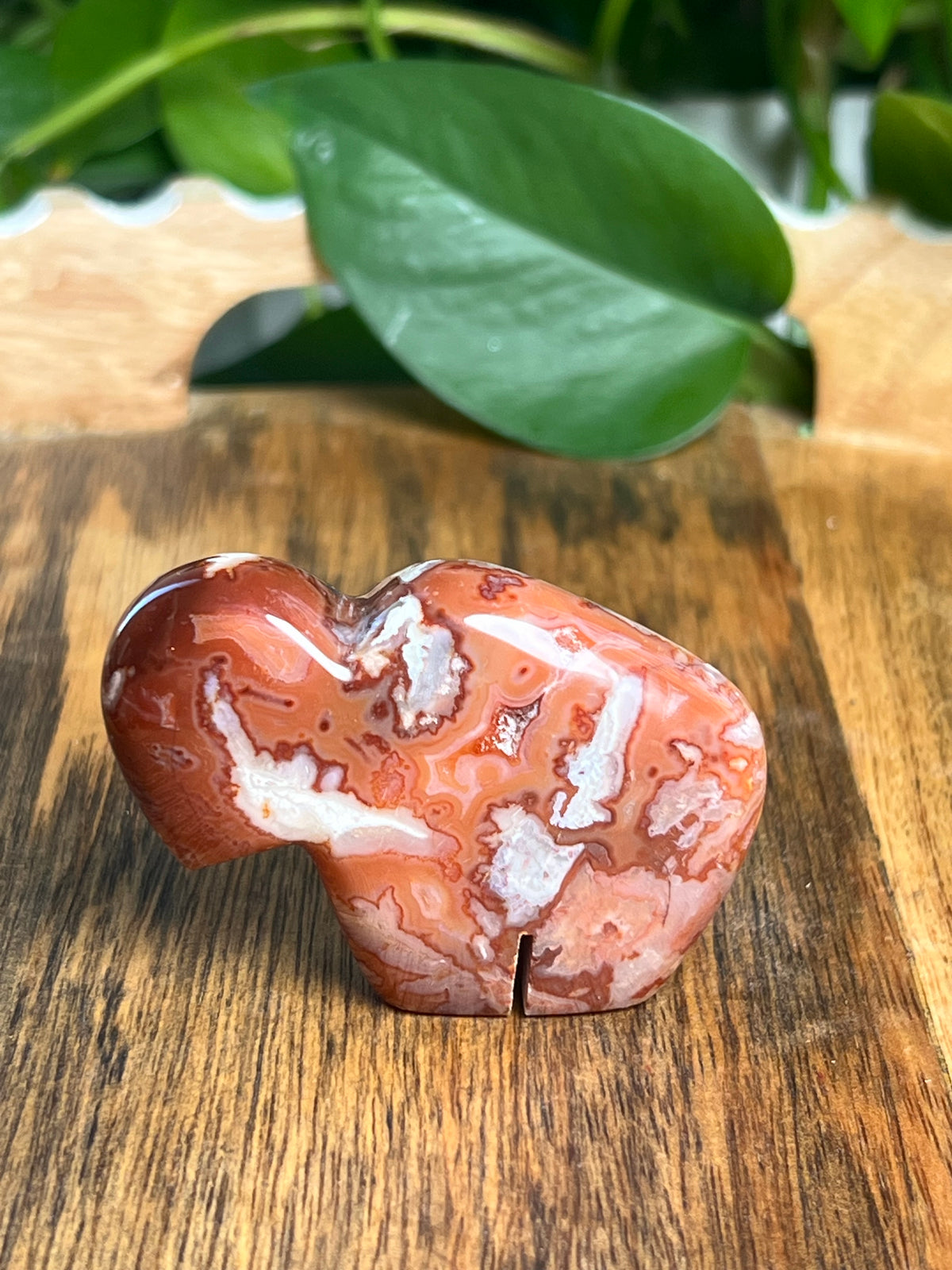 Carnelian Mini Buffalo: BK