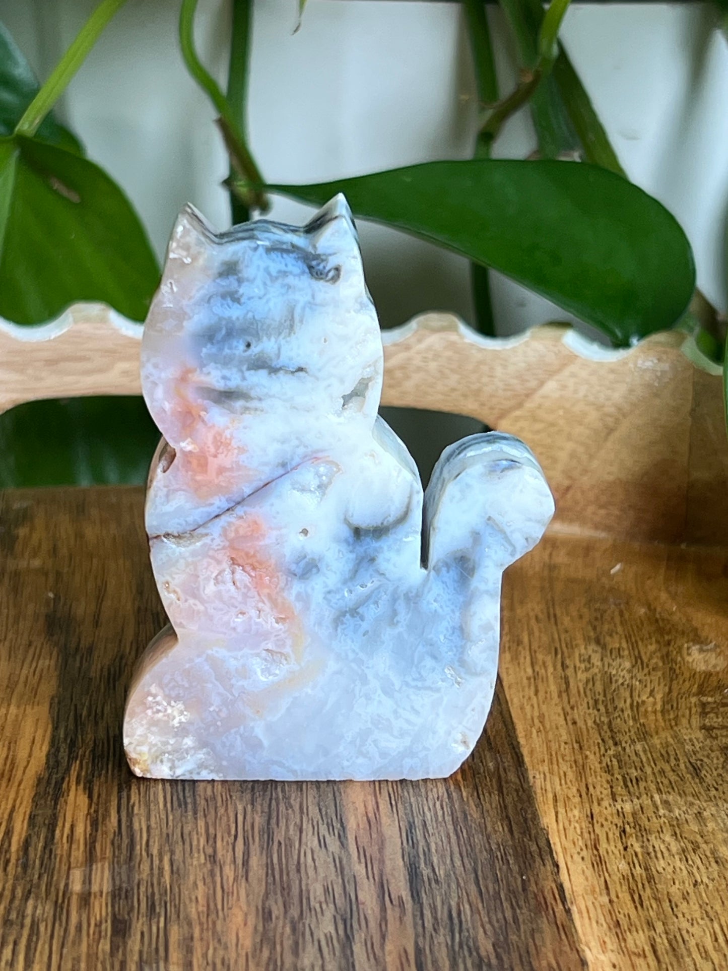 Rainbow Plume Agate Cat NC