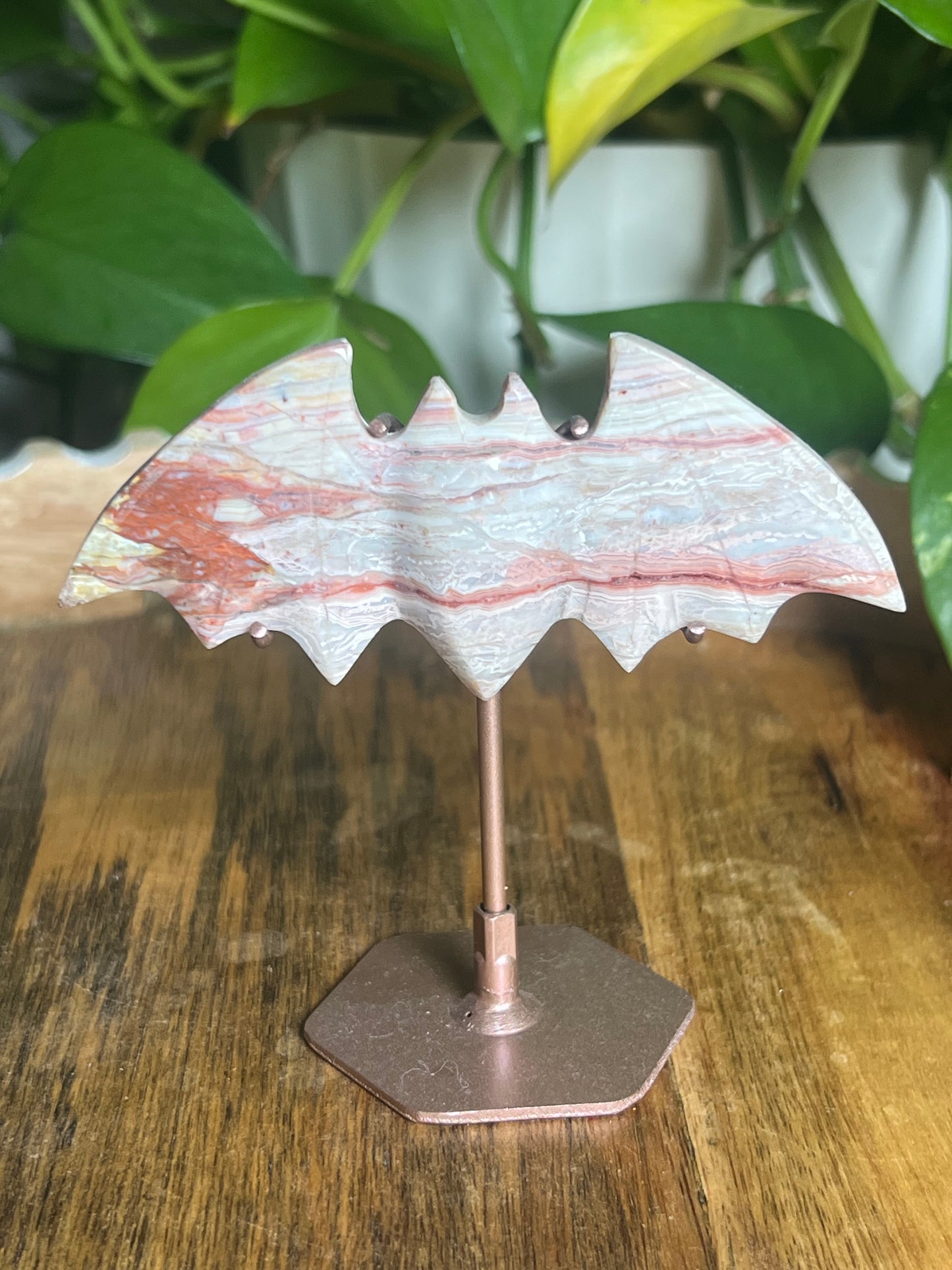 Crazy Lace Agate Bat