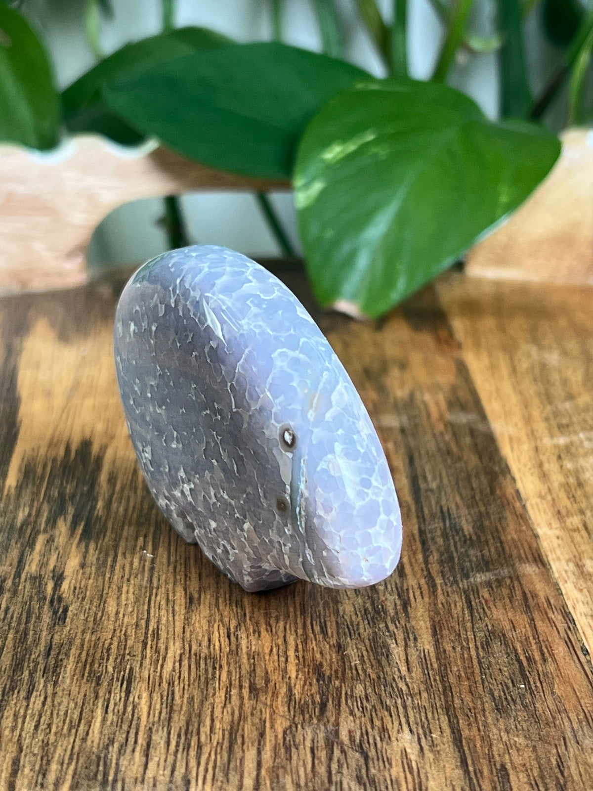 Grape Agate Bear: LM